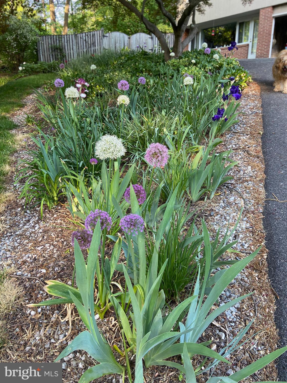 MOUNT WASHINGTON - Residential