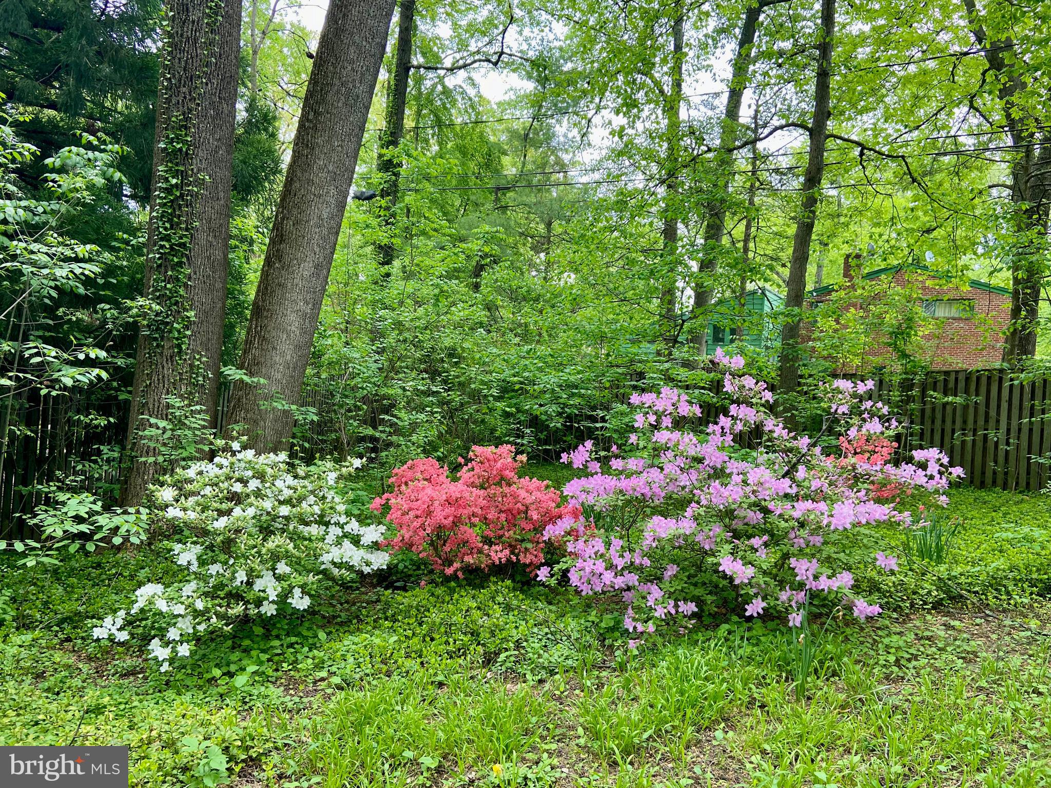 MOUNT WASHINGTON - Residential