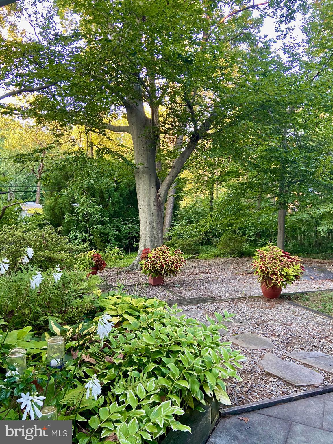 MOUNT WASHINGTON - Residential