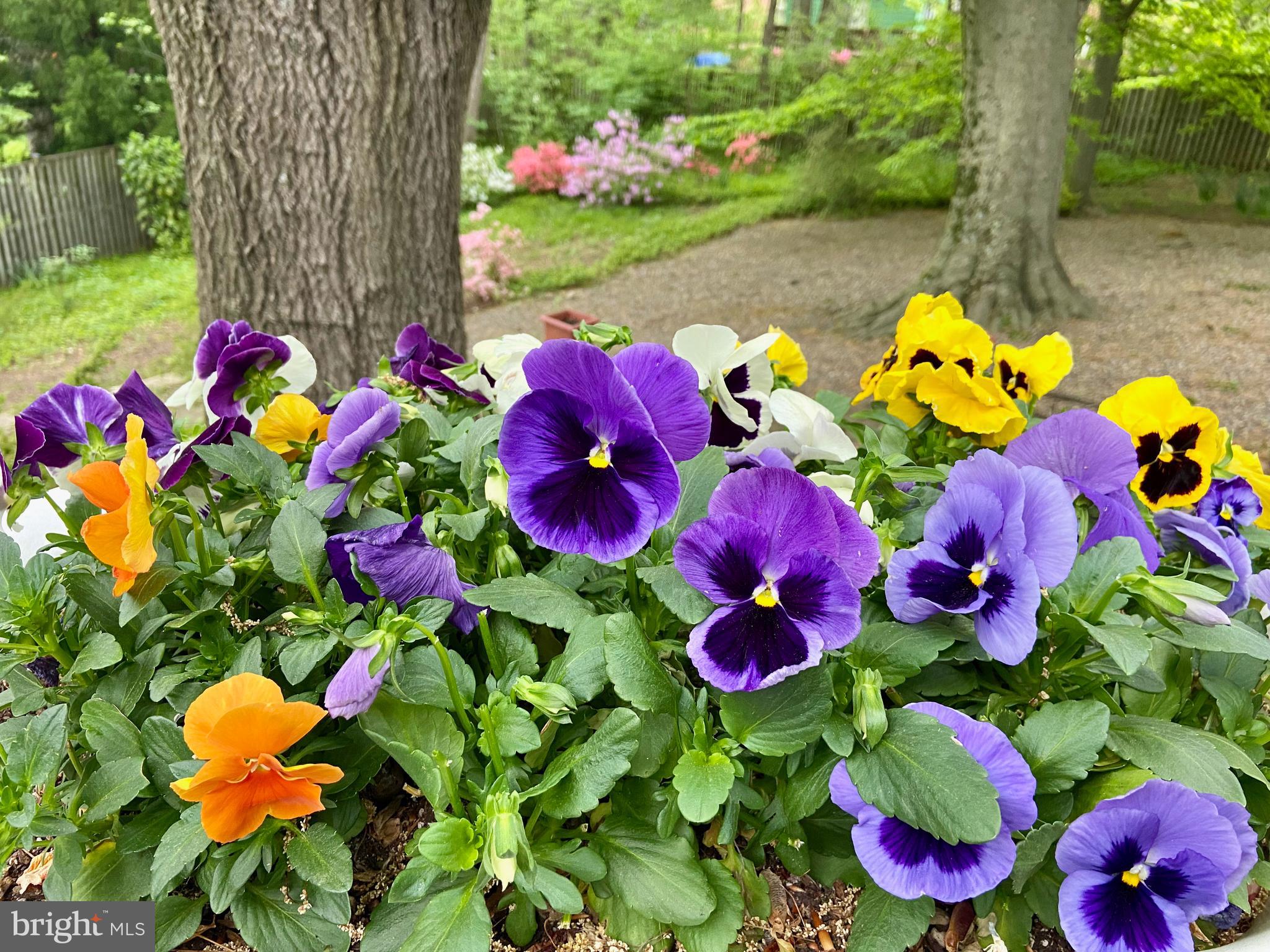 MOUNT WASHINGTON - Residential