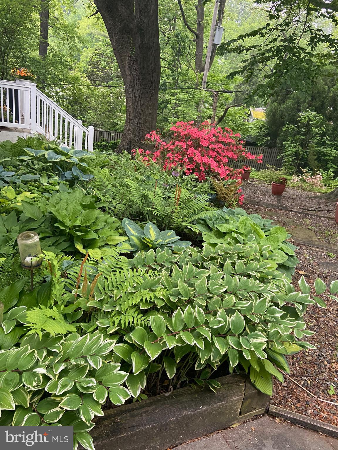 MOUNT WASHINGTON - Residential
