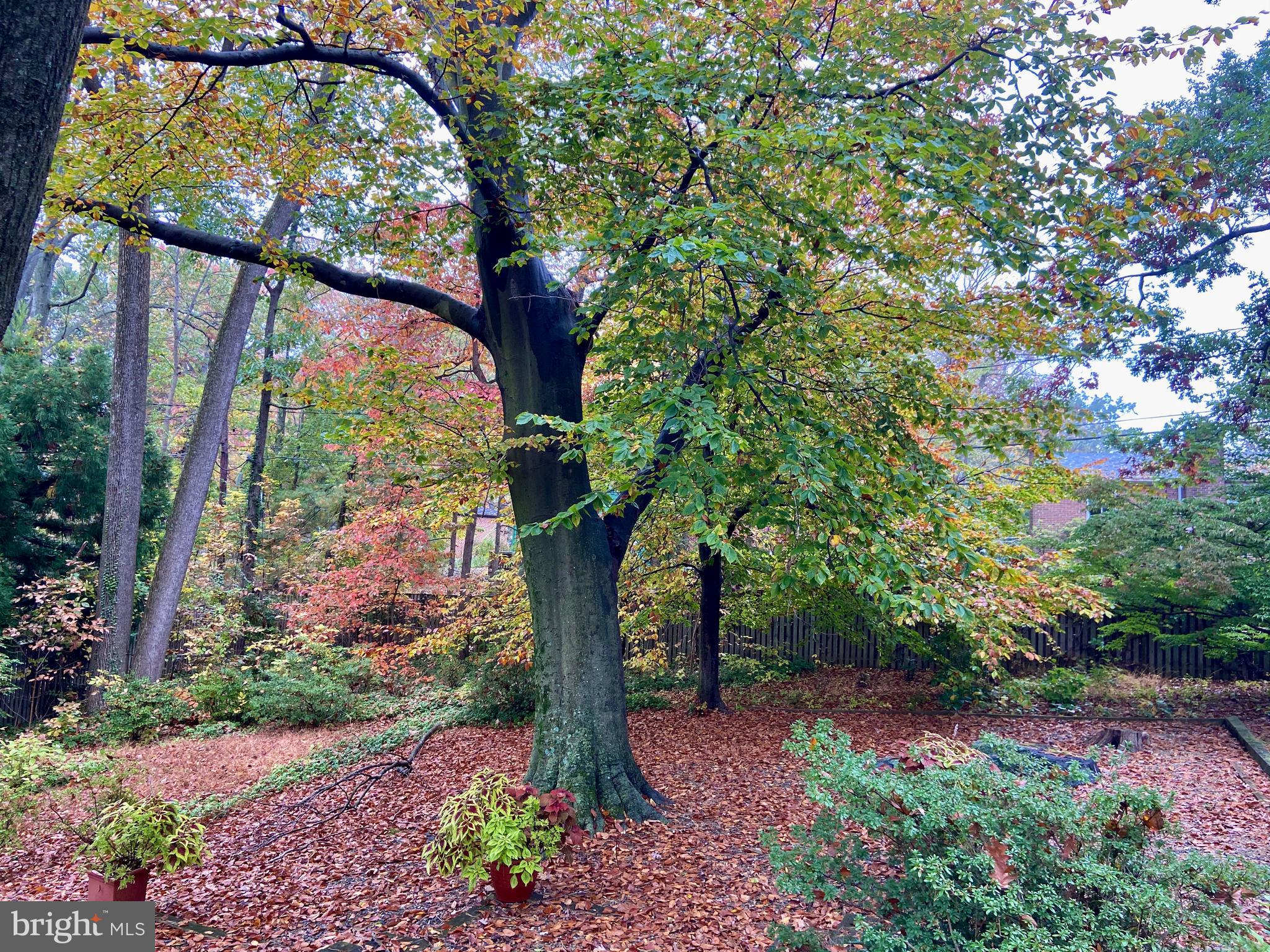 MOUNT WASHINGTON - Residential