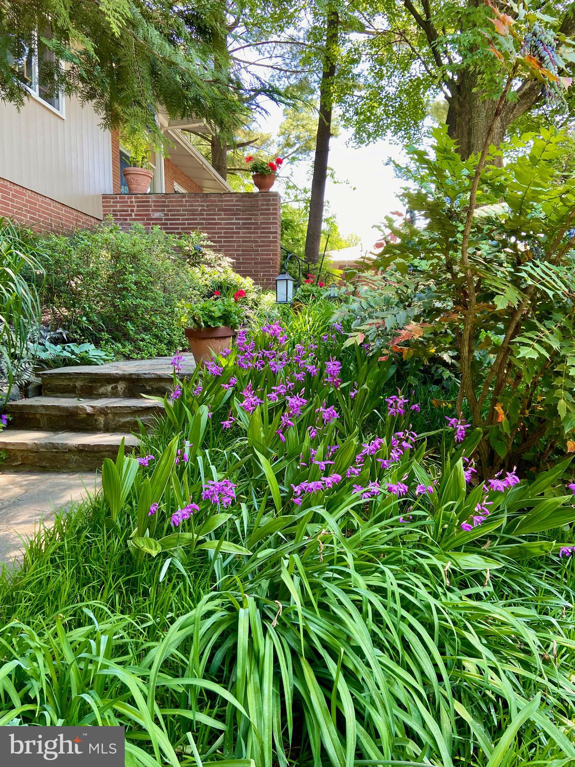 MOUNT WASHINGTON - Residential