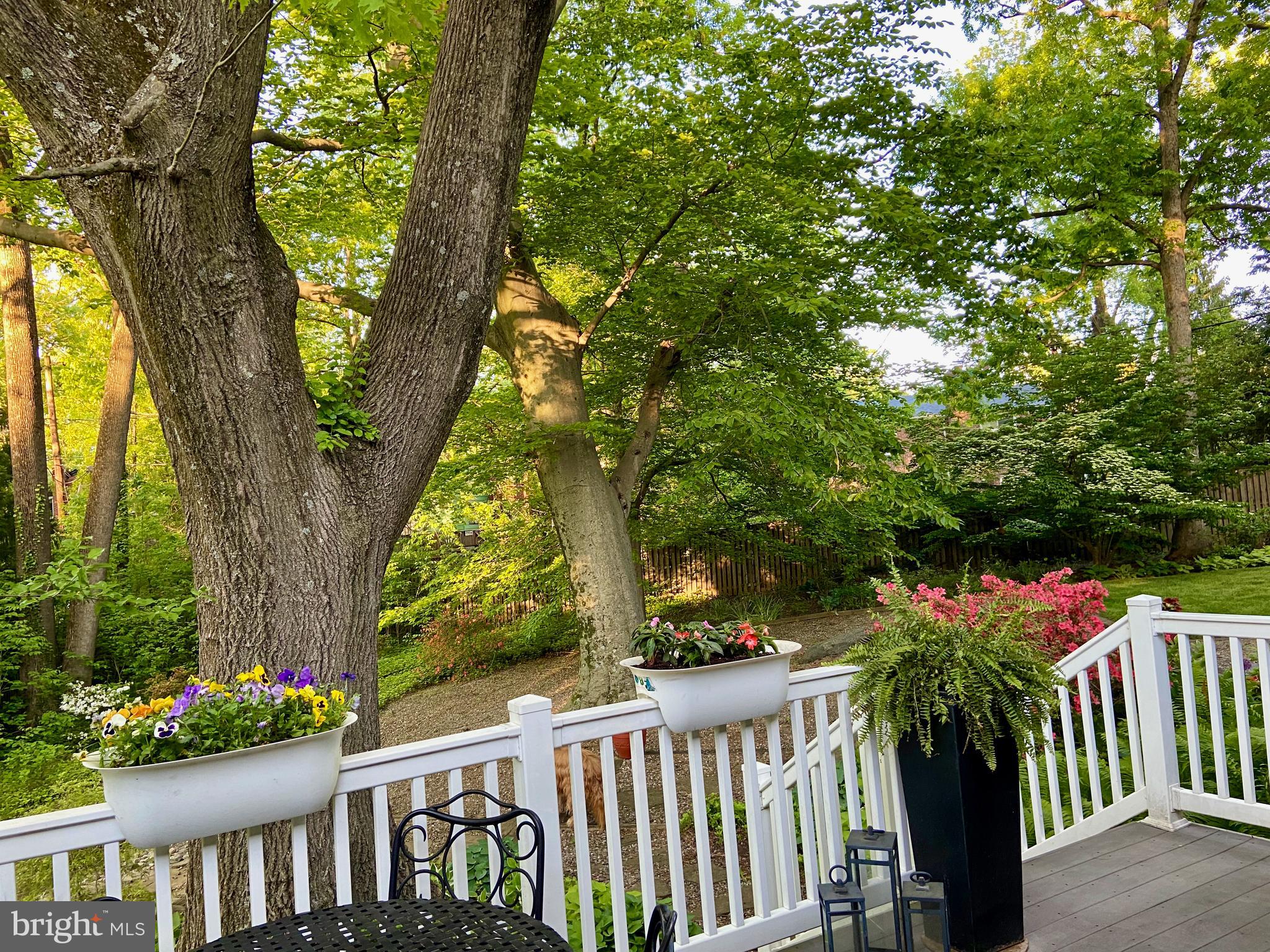 MOUNT WASHINGTON - Residential