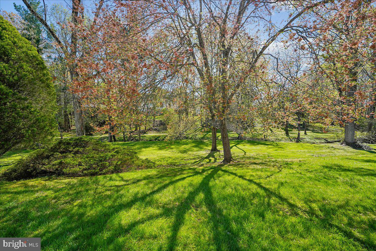 WAKEFIELD CHAPEL WOODS - Residential