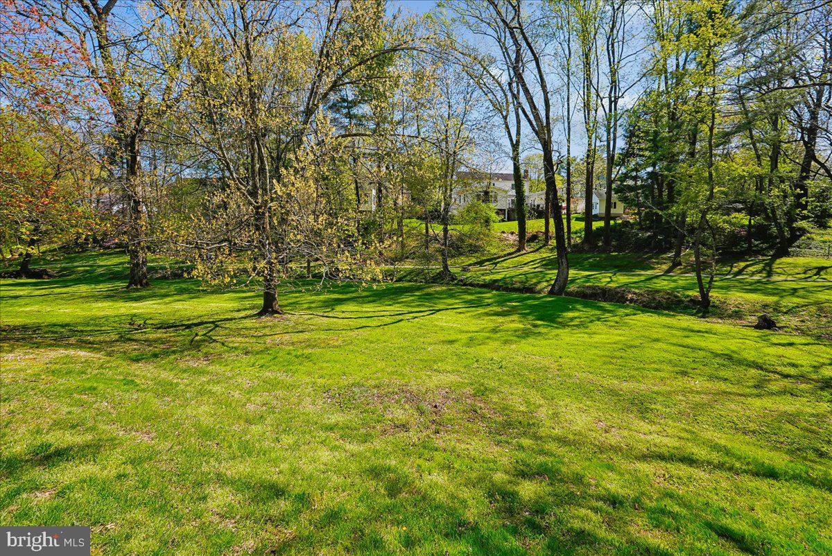 WAKEFIELD CHAPEL WOODS - Residential