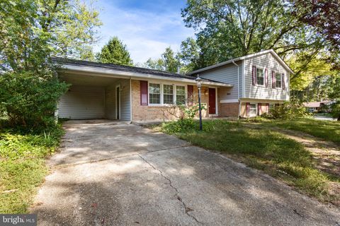 8011 LYNNFIELD DRIVE ALEXANDRIA VA 22306