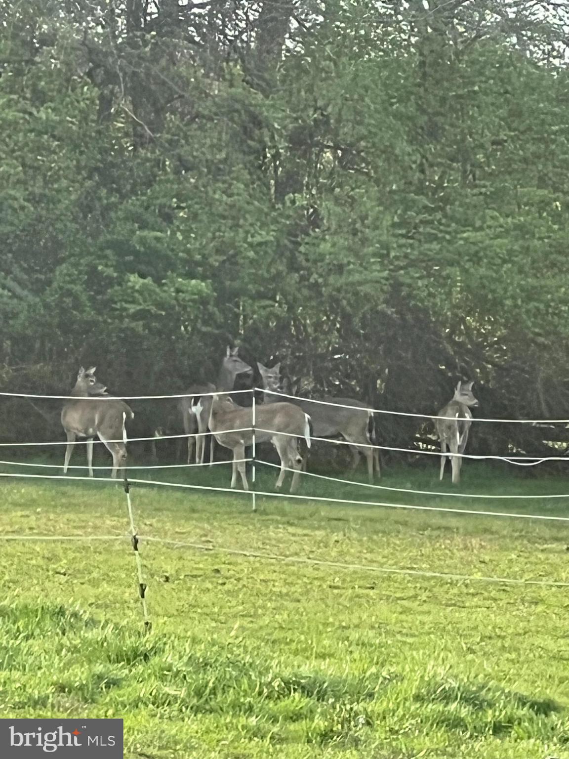 HARNEY ROAD COUNTRYSIDE - Residential