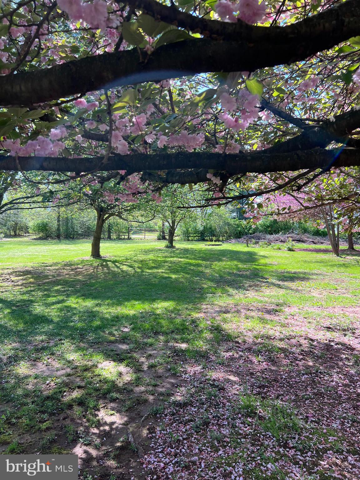 HARNEY ROAD COUNTRYSIDE - Residential