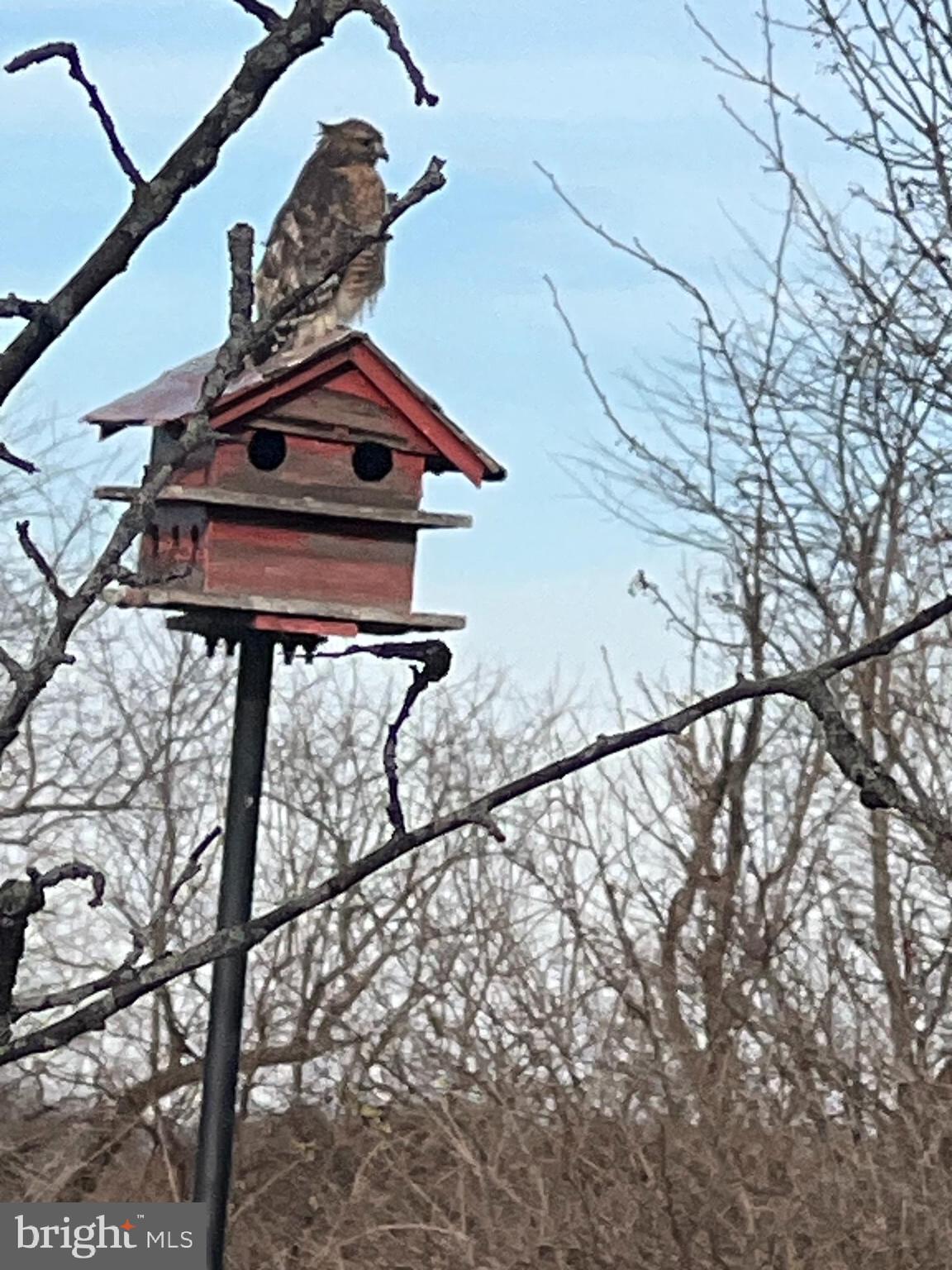 HARNEY ROAD COUNTRYSIDE - Residential