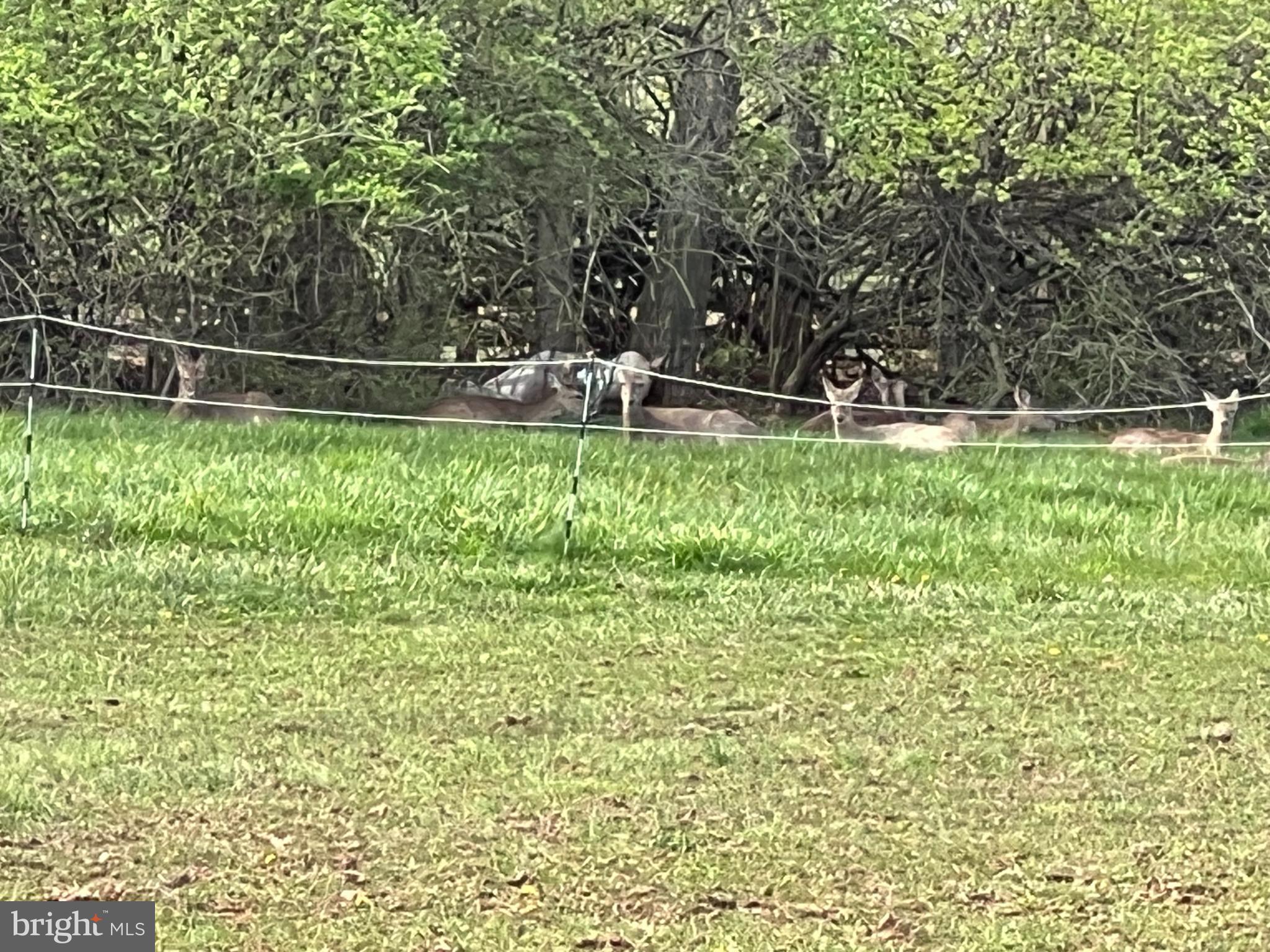 HARNEY ROAD COUNTRYSIDE - Residential