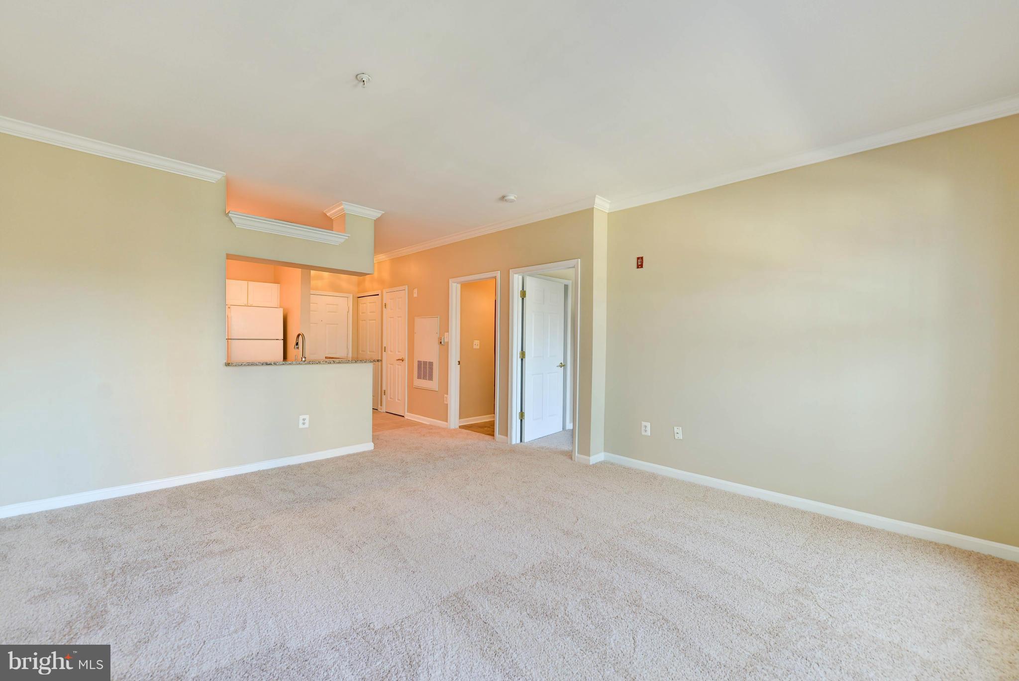 PALAZZO AT PARK CENTER - Residential