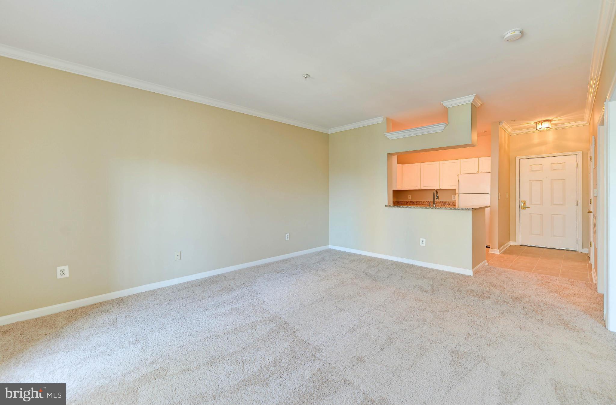 PALAZZO AT PARK CENTER - Residential