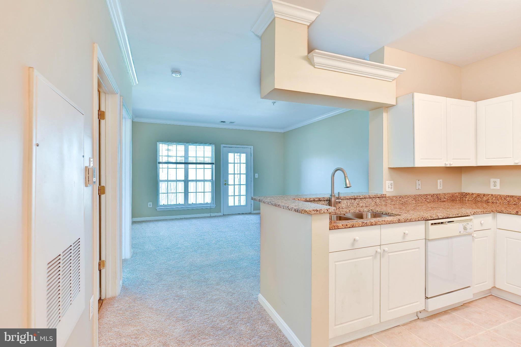 PALAZZO AT PARK CENTER - Residential