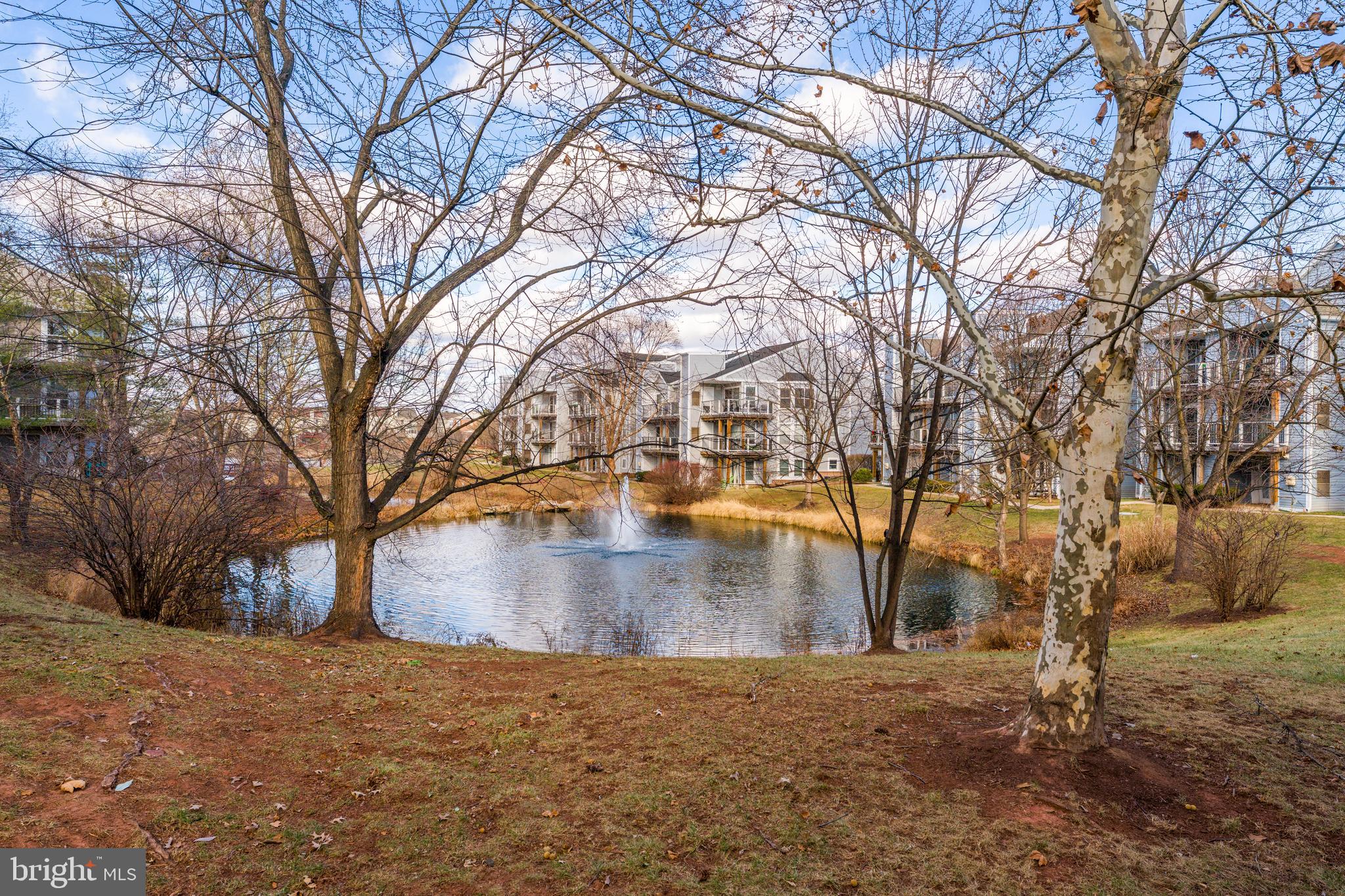 LAKESHORE CONDO - Residential Lease