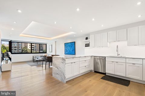 2510 VIRGINIA AVENUE NW 307-N WASHINGTON DC 20037