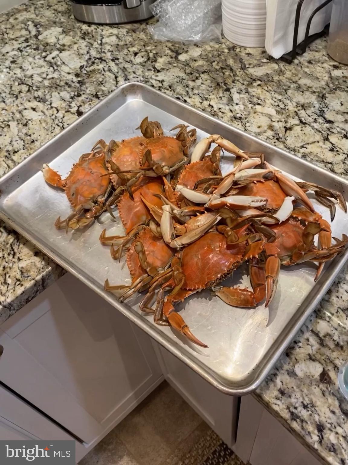 LOCKSLEY HALL ESTATES - Residential