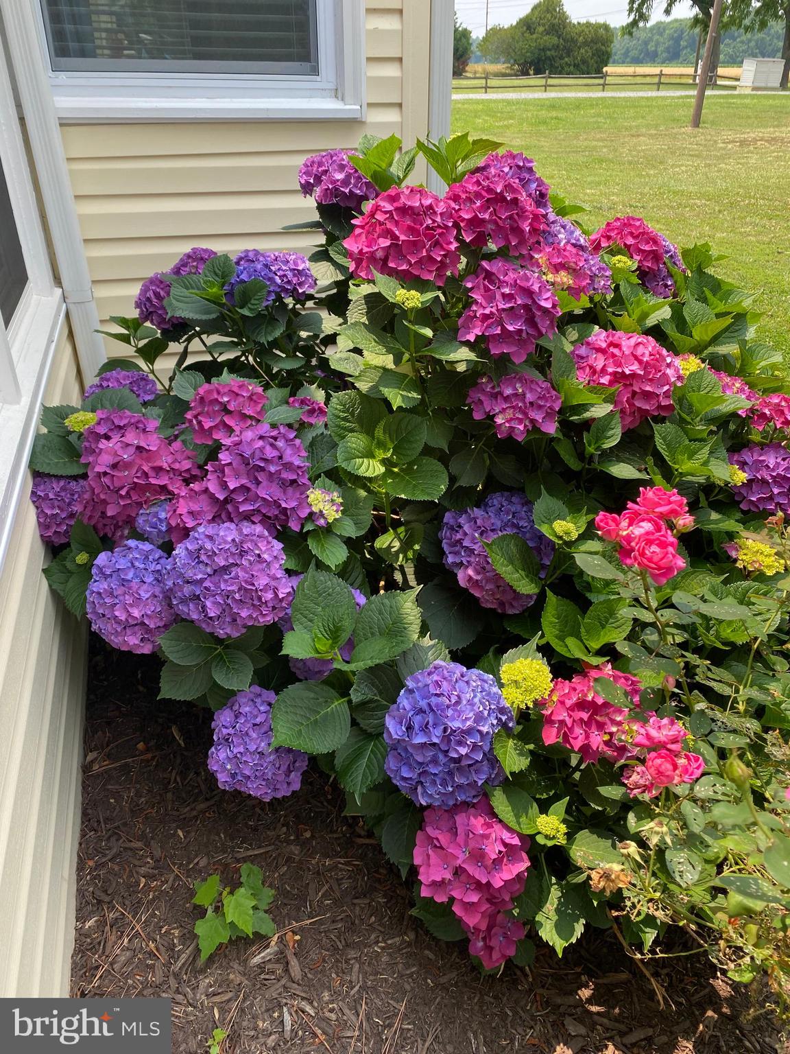 LOCKSLEY HALL ESTATES - Residential