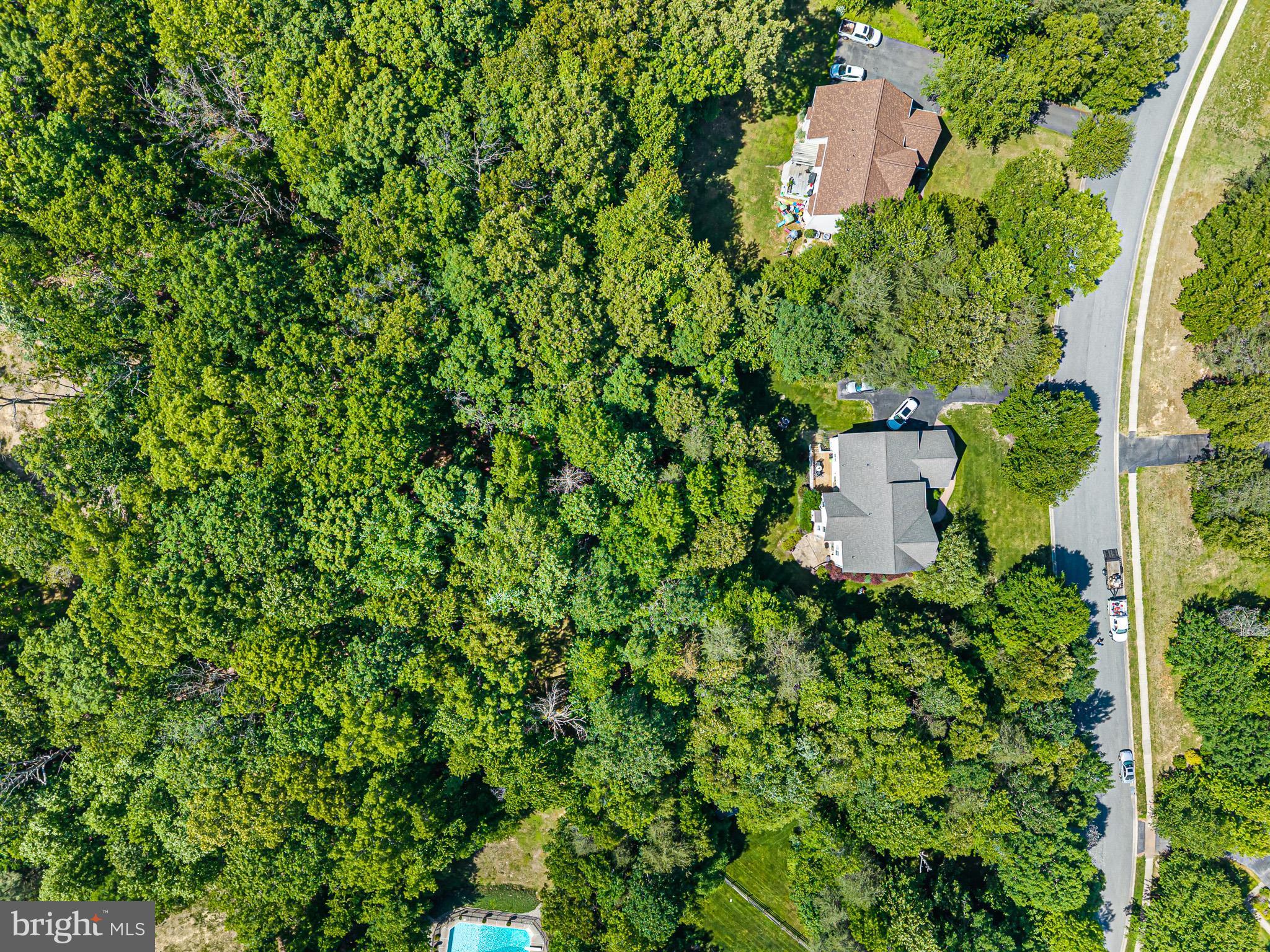 WOODHOLME - Residential