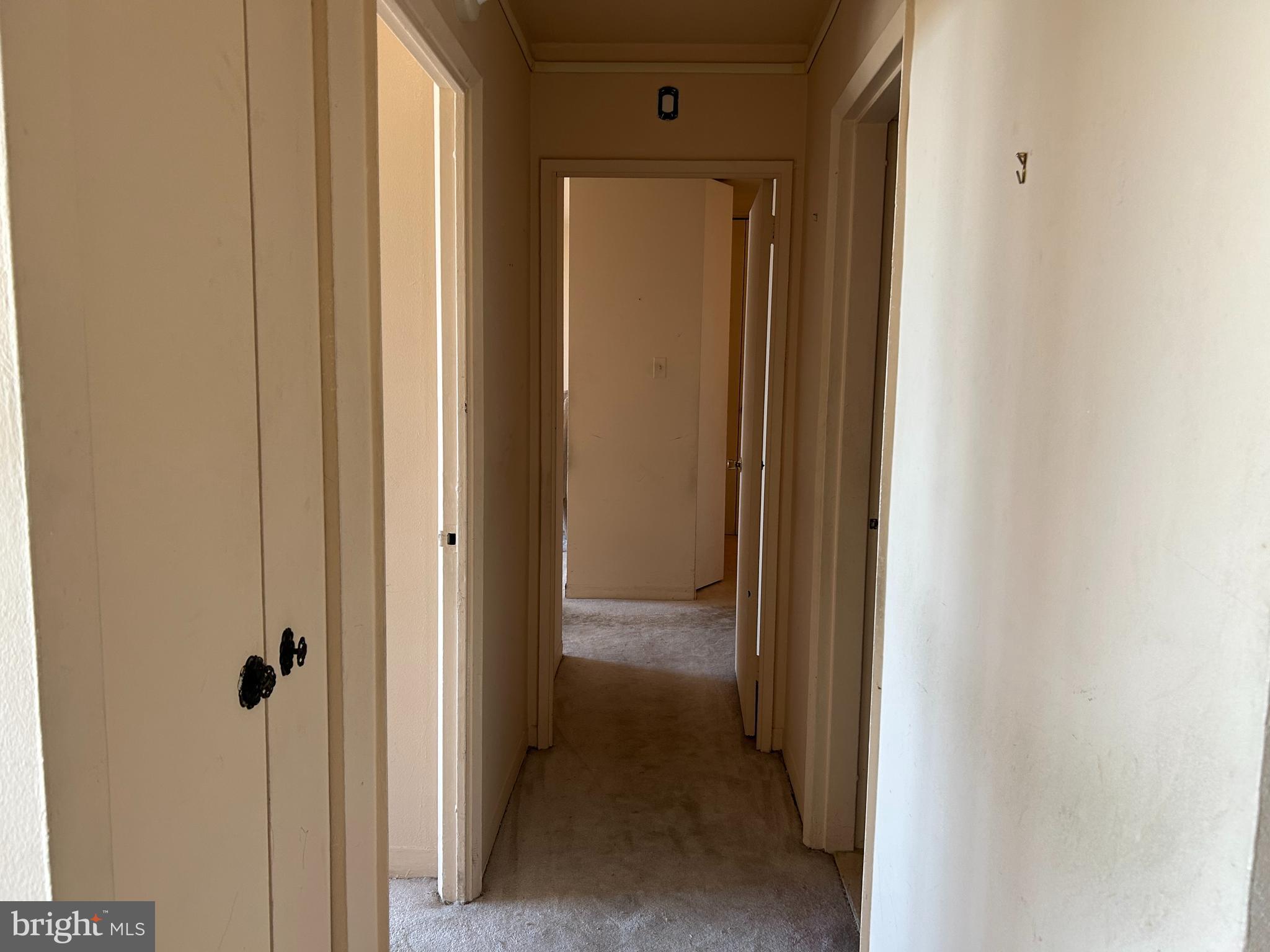 BELMONT VILLAGE - Residential