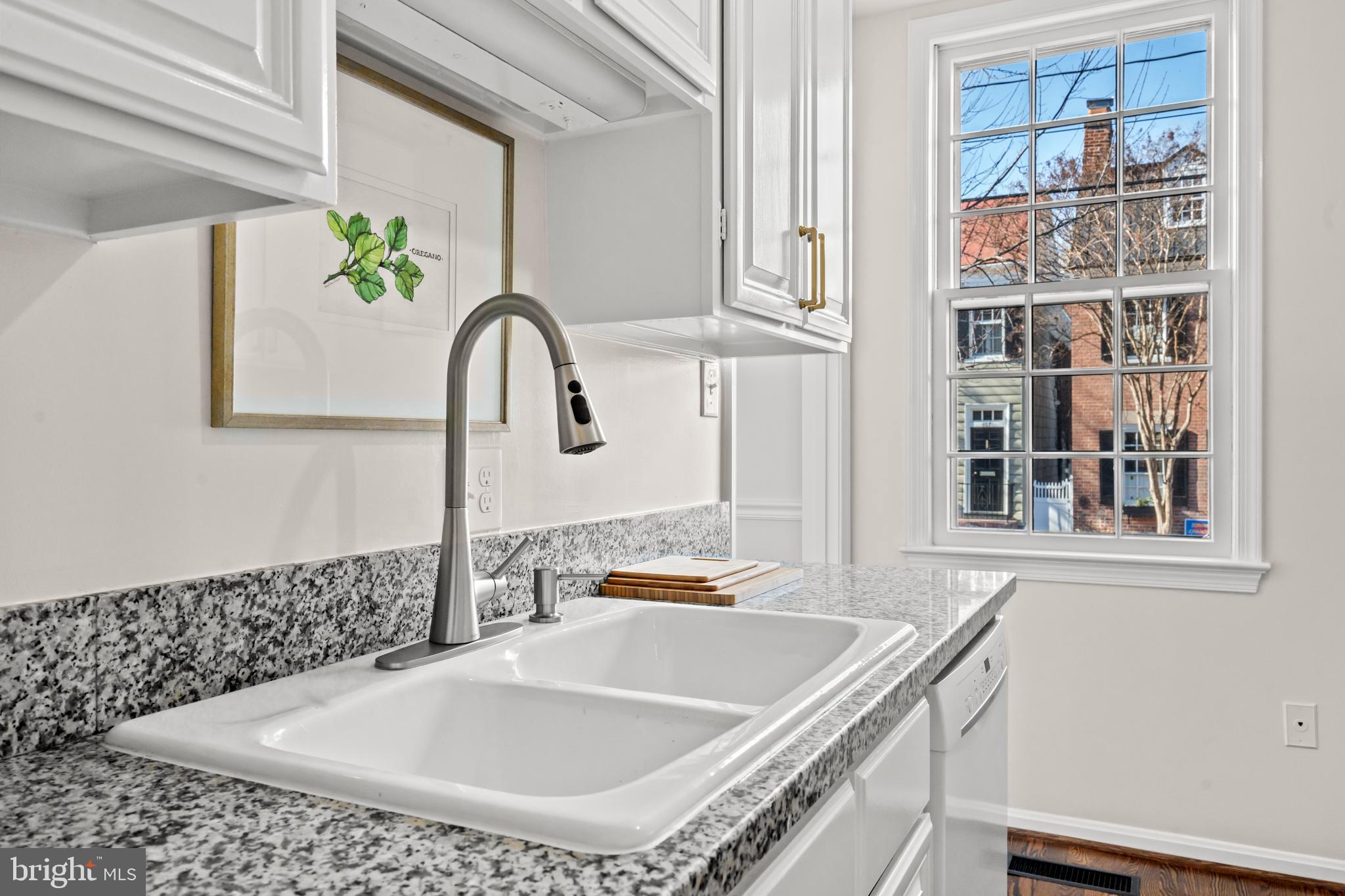 OLD TOWN ALEXANDRIA - Residential