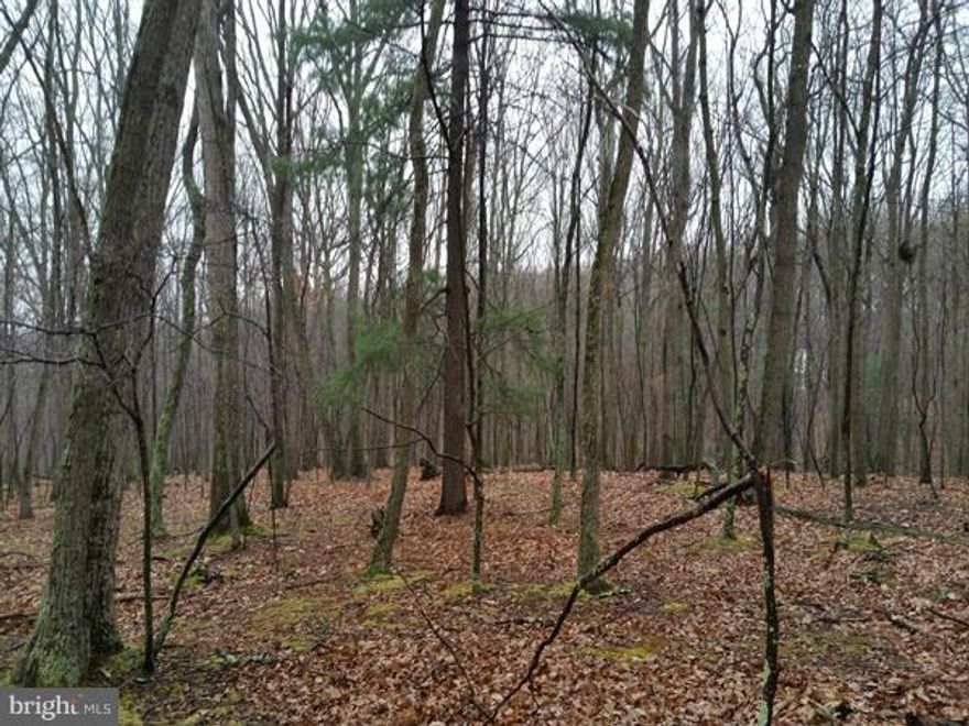 River Ridge, 3.71 acres, mature hardwoods, eastern exposure, seasonal steam, Cacapon River access with community park. This mostly level lot is nestled at the end of the lane offering peaceful tranquility in this beautiful riverside community. Come out and enjoy the sparkling Cacapon River through all the seasons. Seller / Agent