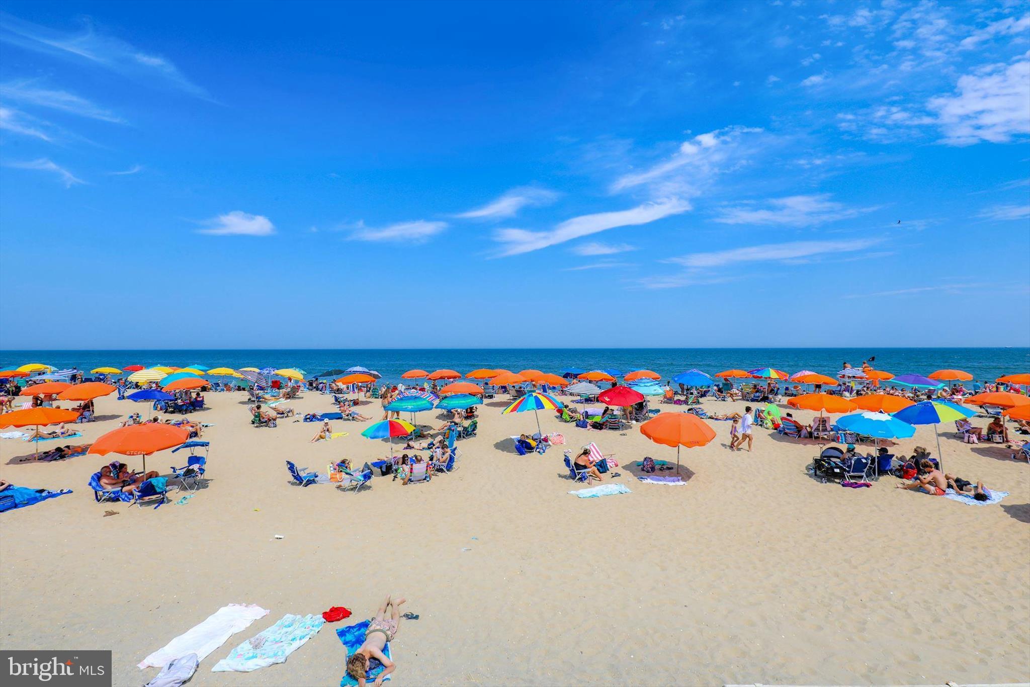 BETHANY FOREST - Residential