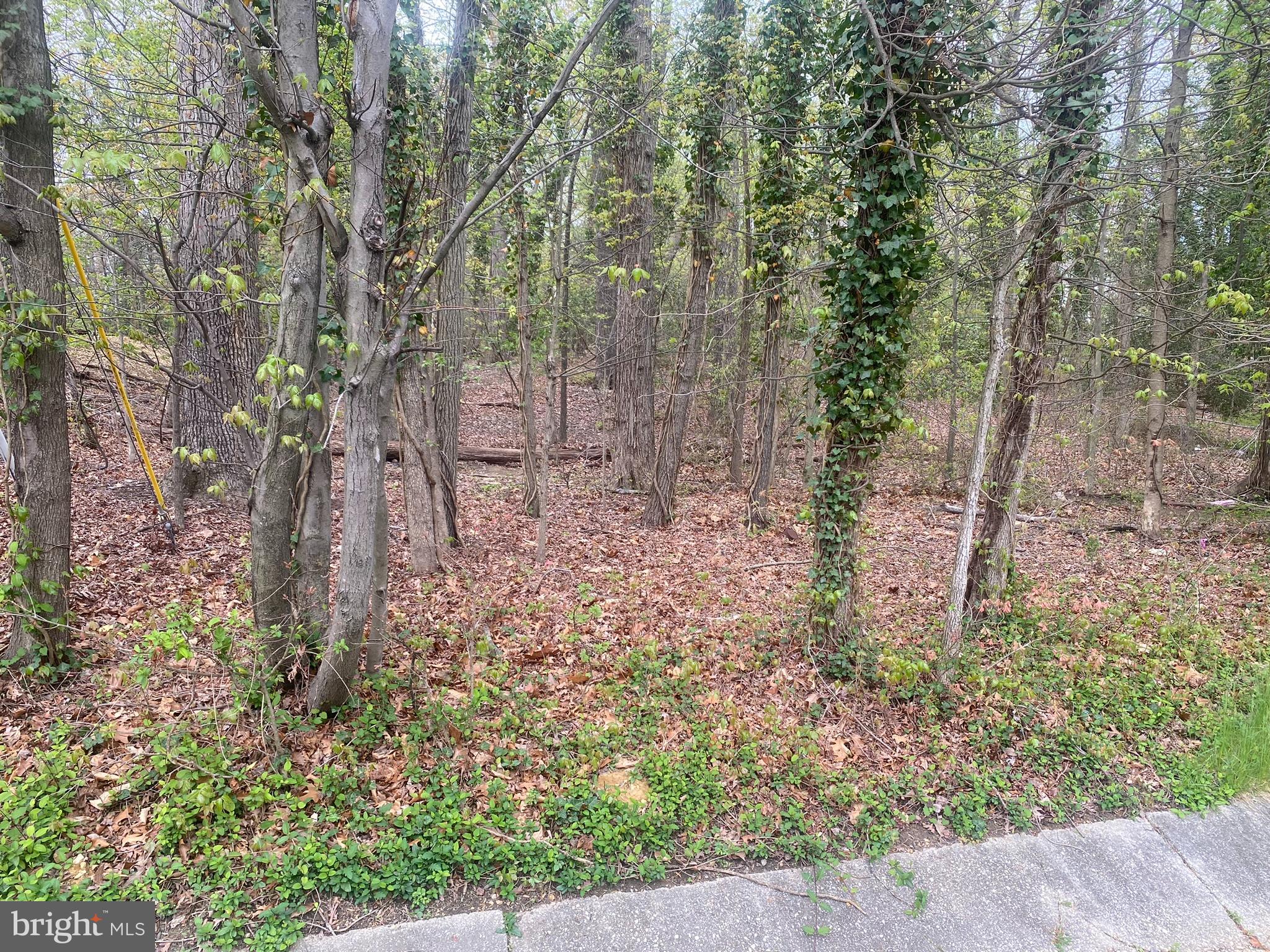 BARNABY MANOR OAKS - Land