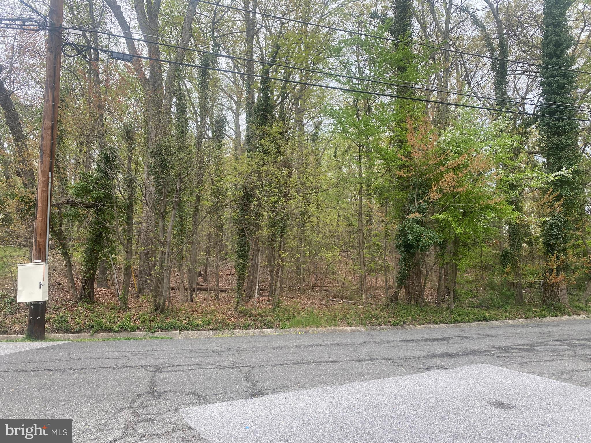 BARNABY MANOR OAKS - Land