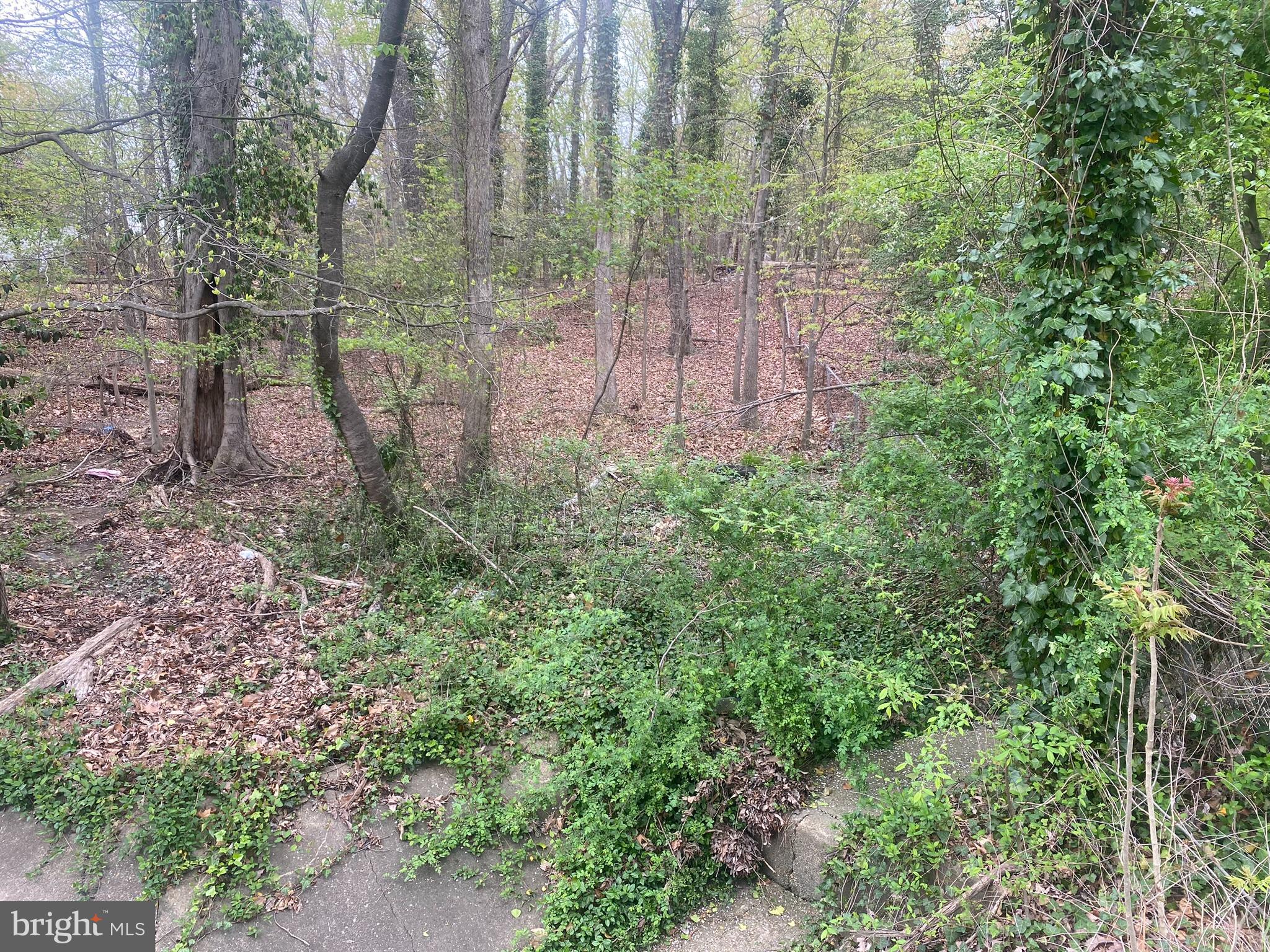 BARNABY MANOR OAKS - Land