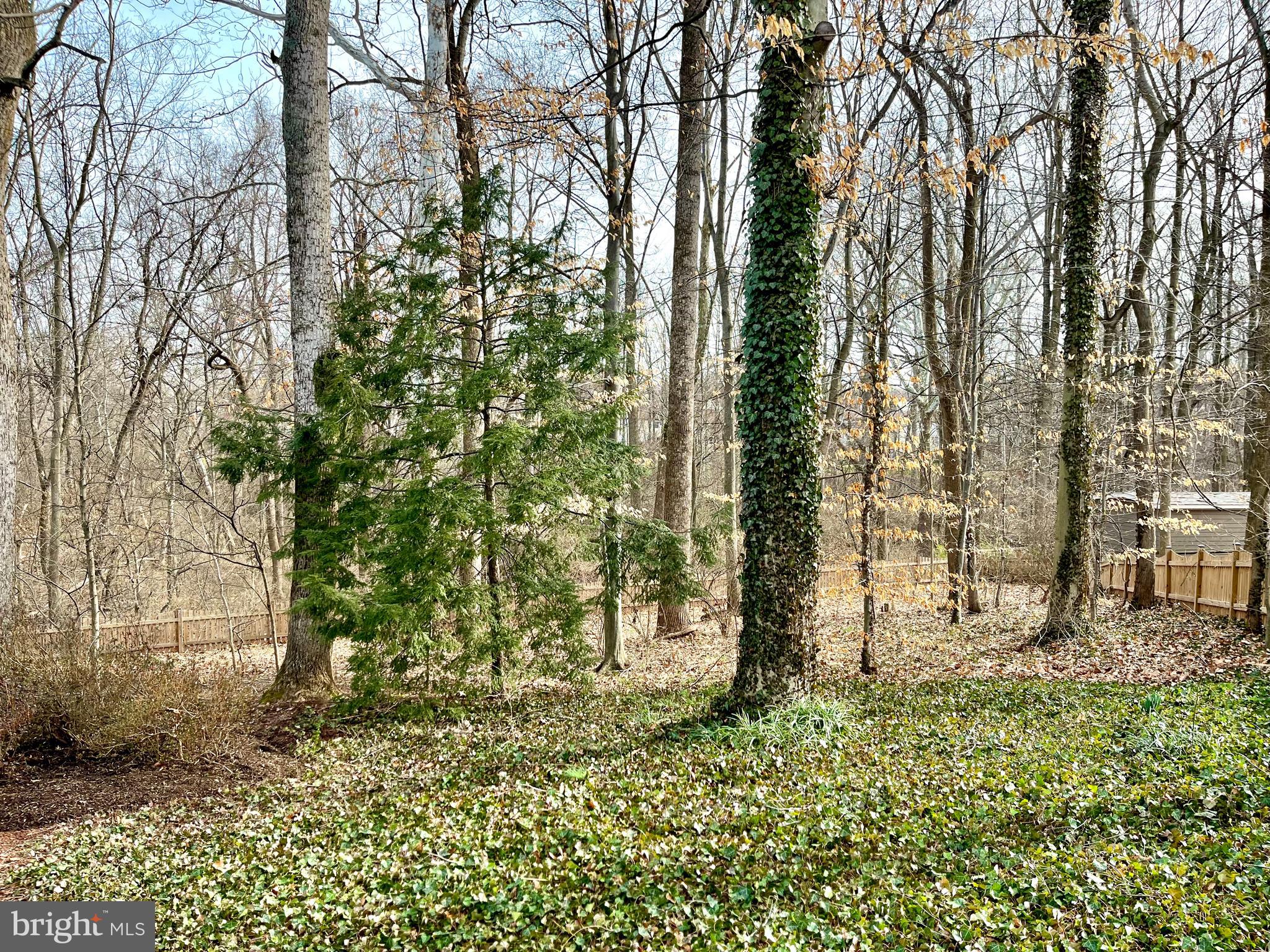 ROCKY RUN - Residential