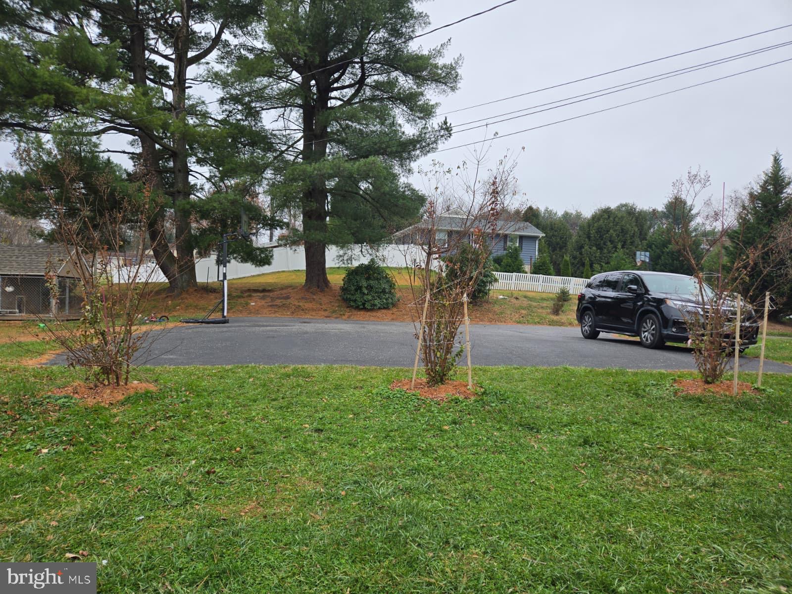 CHESTNUT HILL - Residential Lease