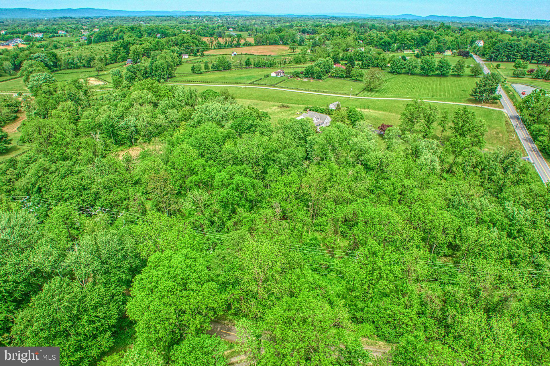 DEBUTTS - Residential