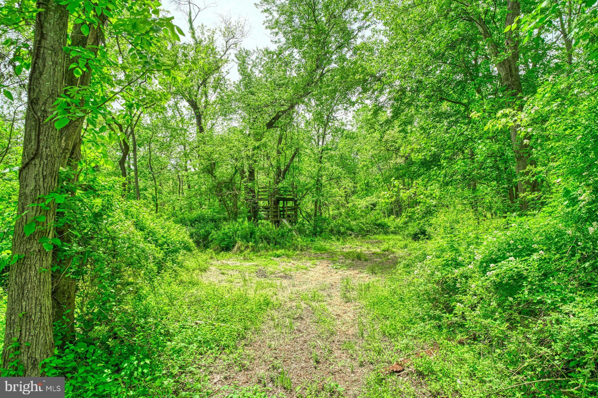 DEBUTTS - Residential