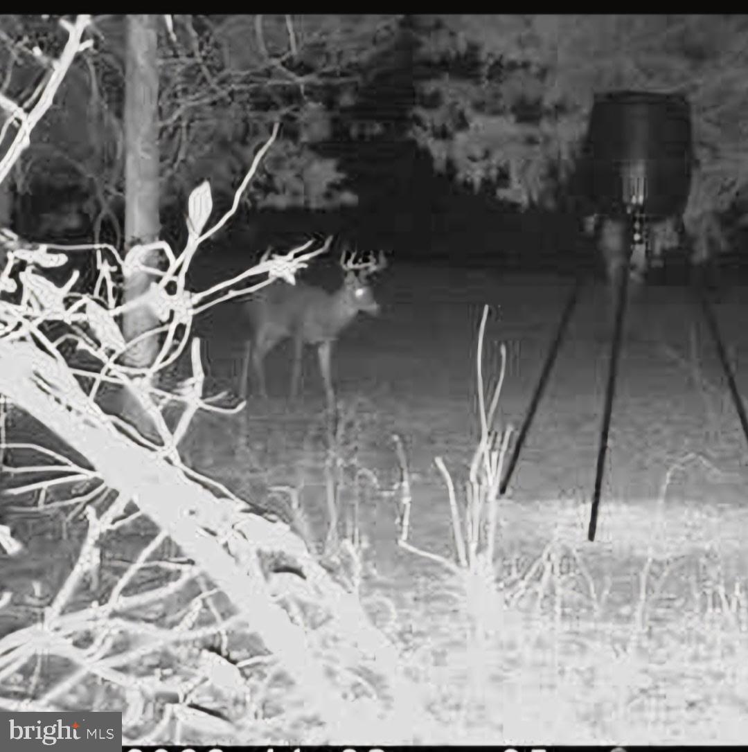 RIVER BEND FARMS - Residential