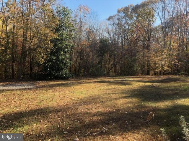 TEN PENNY WOODS - Residential