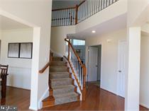 FOXBOROUGH - Residential Lease