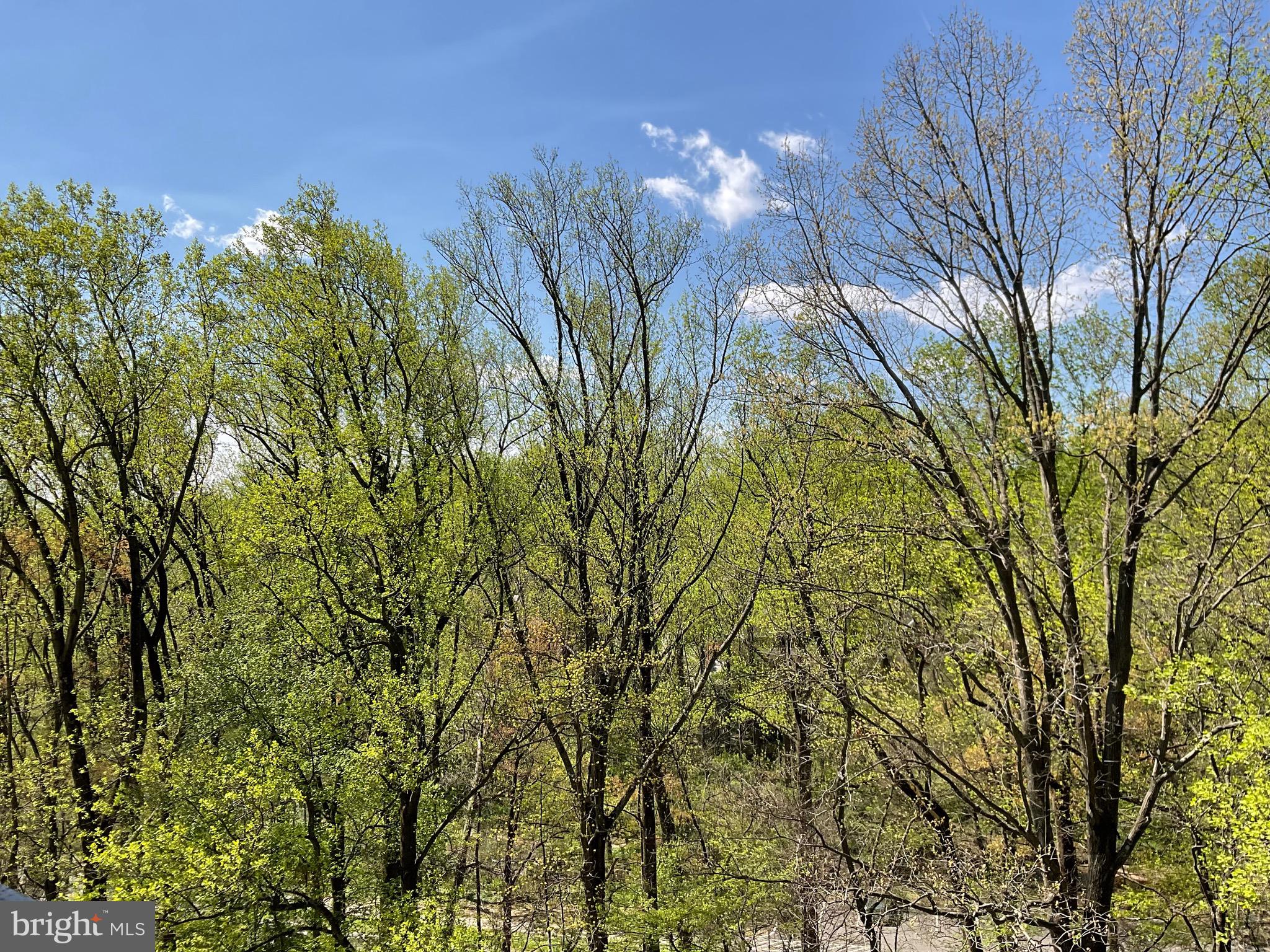 PARKSIDE PLAZA CODM - Residential