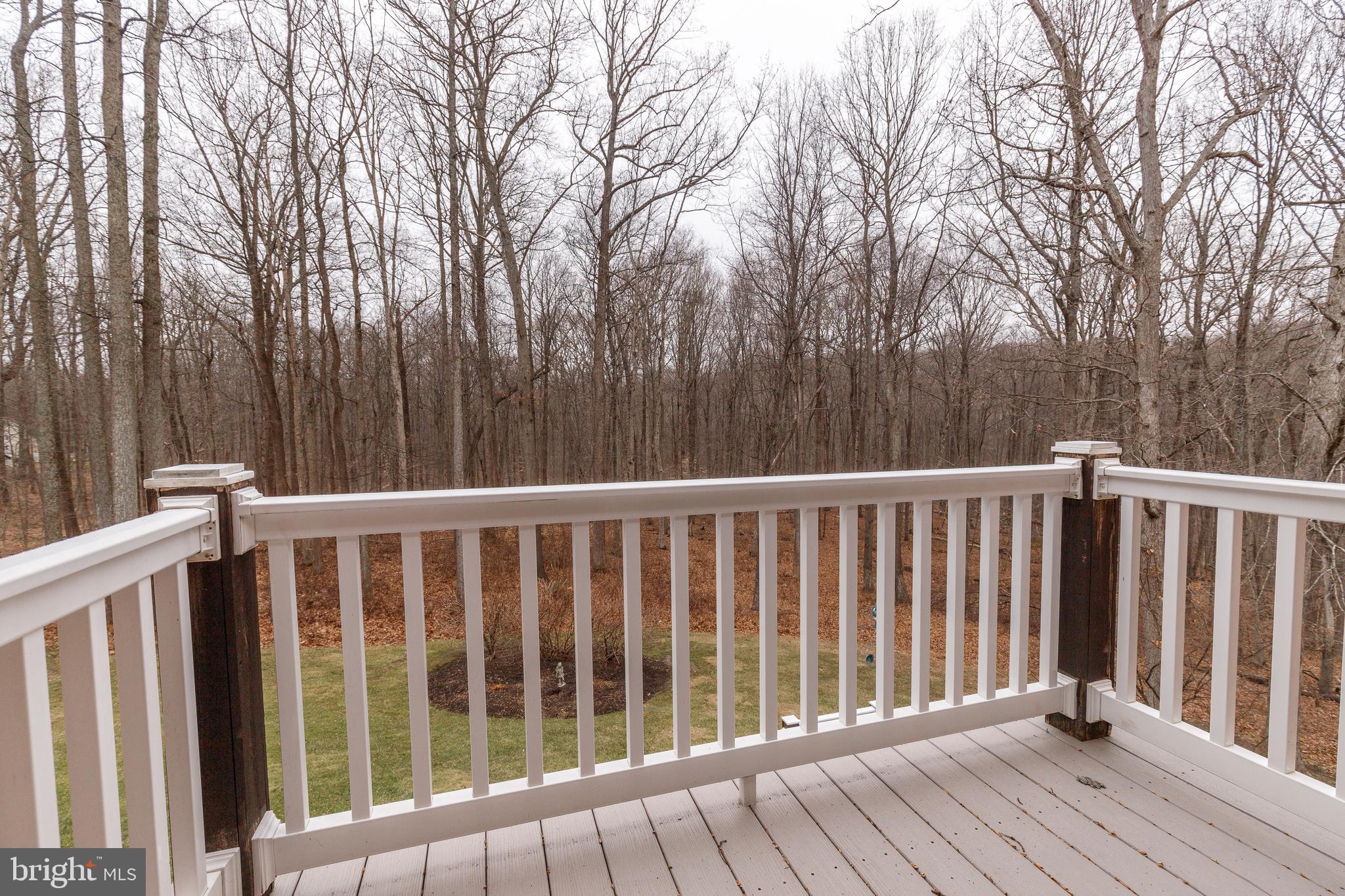 WESLEY CHAPEL WOODS - Residential