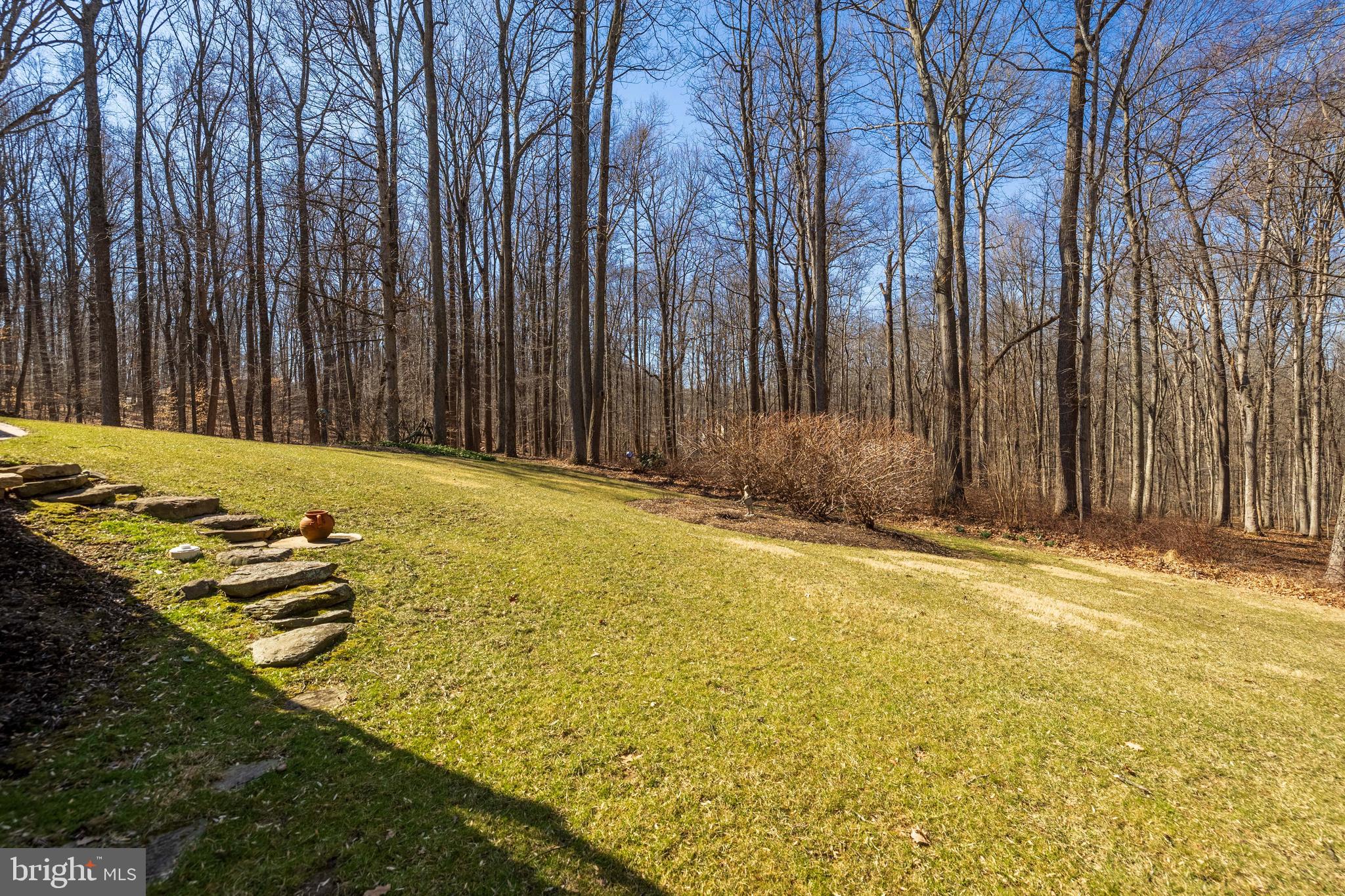 WESLEY CHAPEL WOODS - Residential