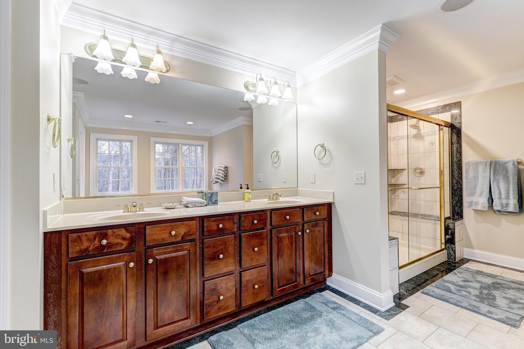 WESLEY CHAPEL WOODS - Residential