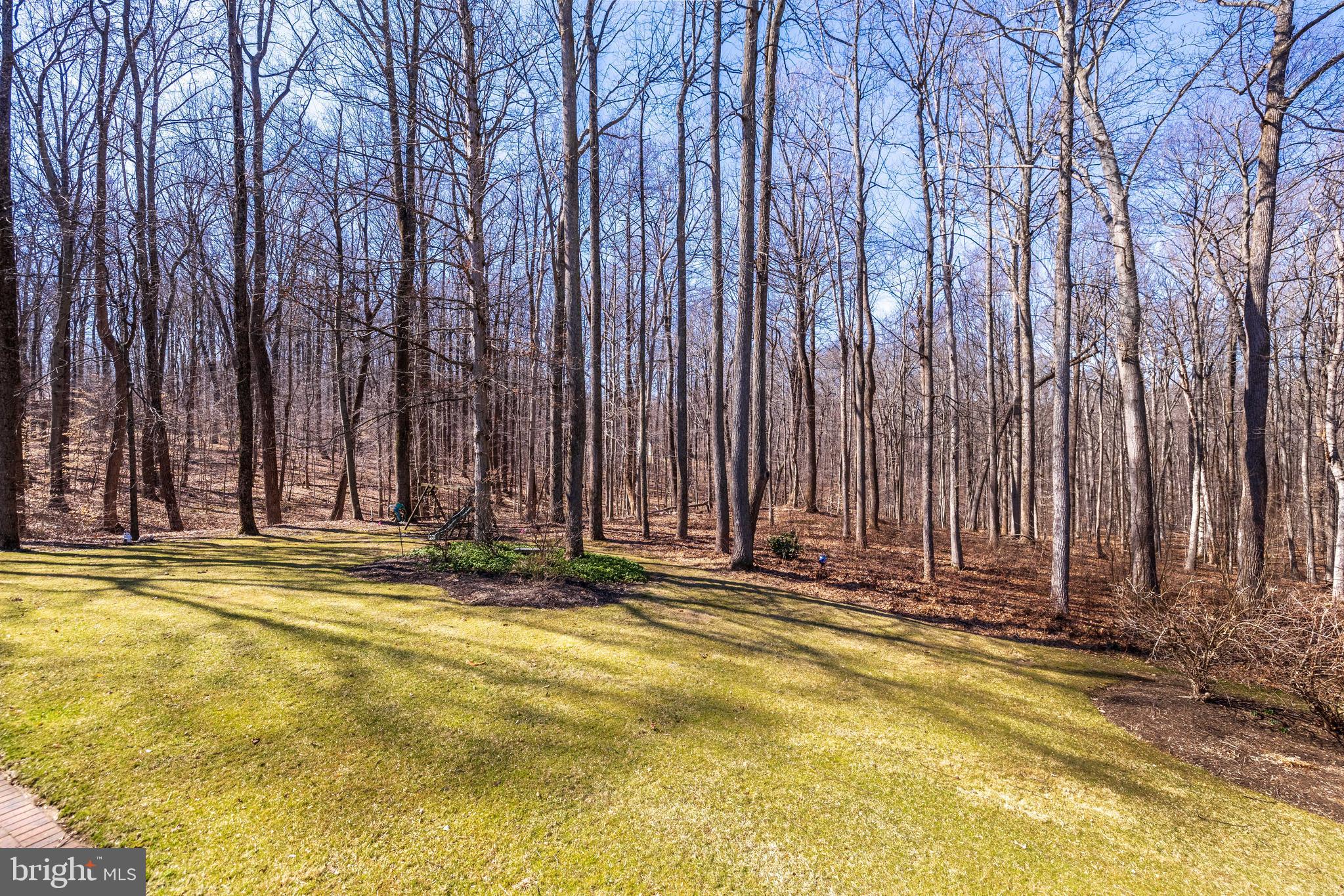 WESLEY CHAPEL WOODS - Residential