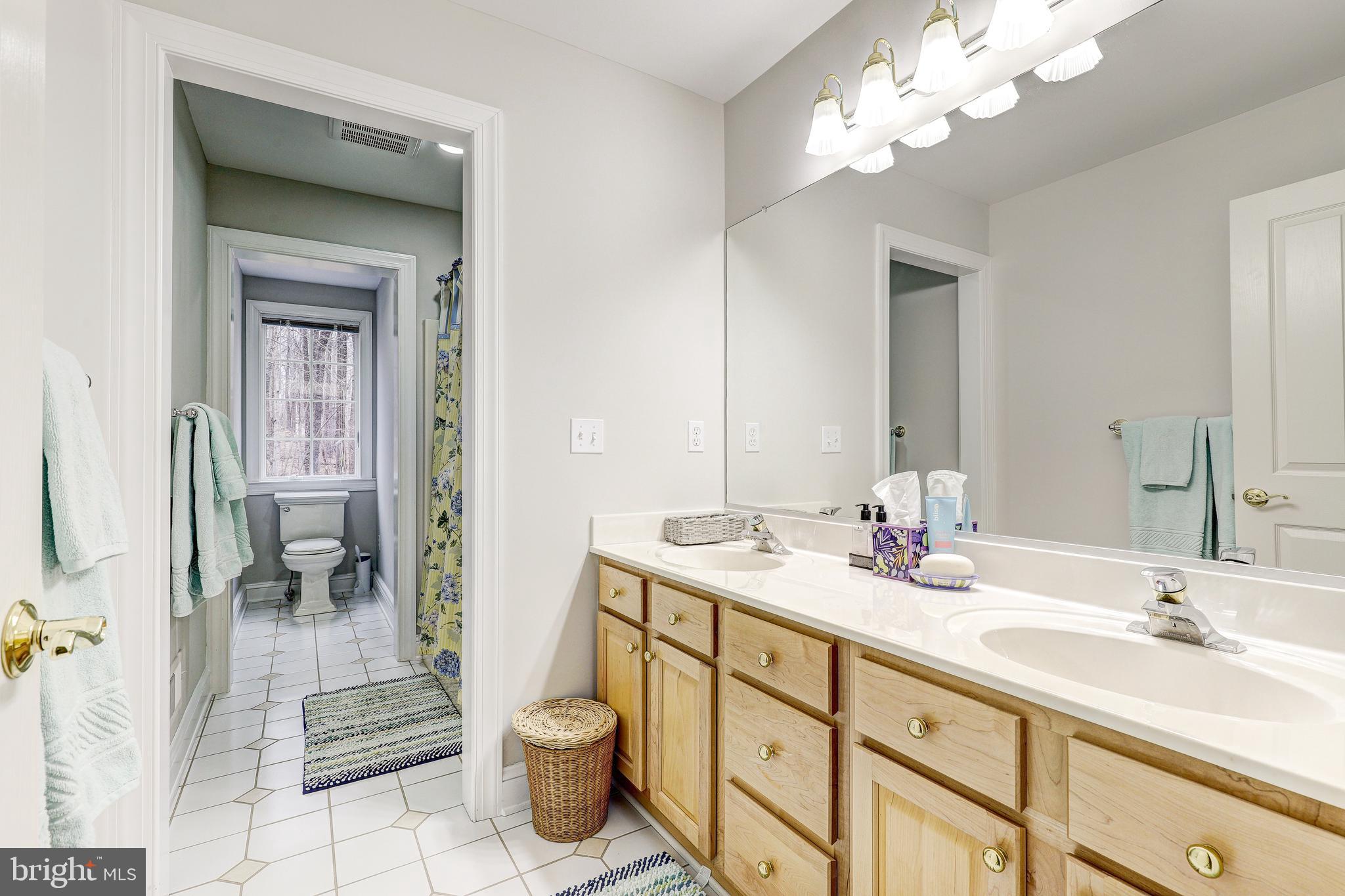 WESLEY CHAPEL WOODS - Residential