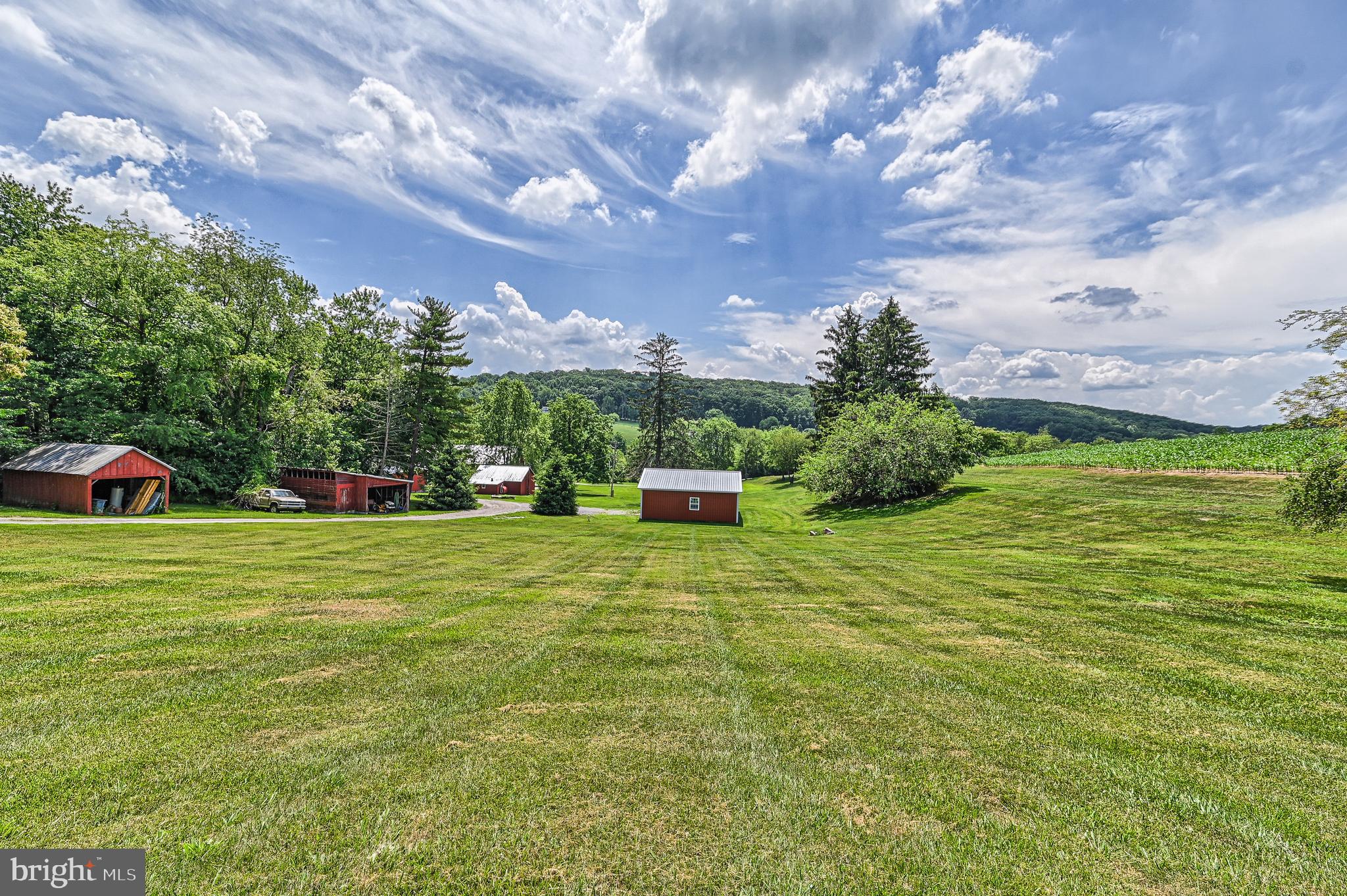 NONE AVAILABLE - Farm