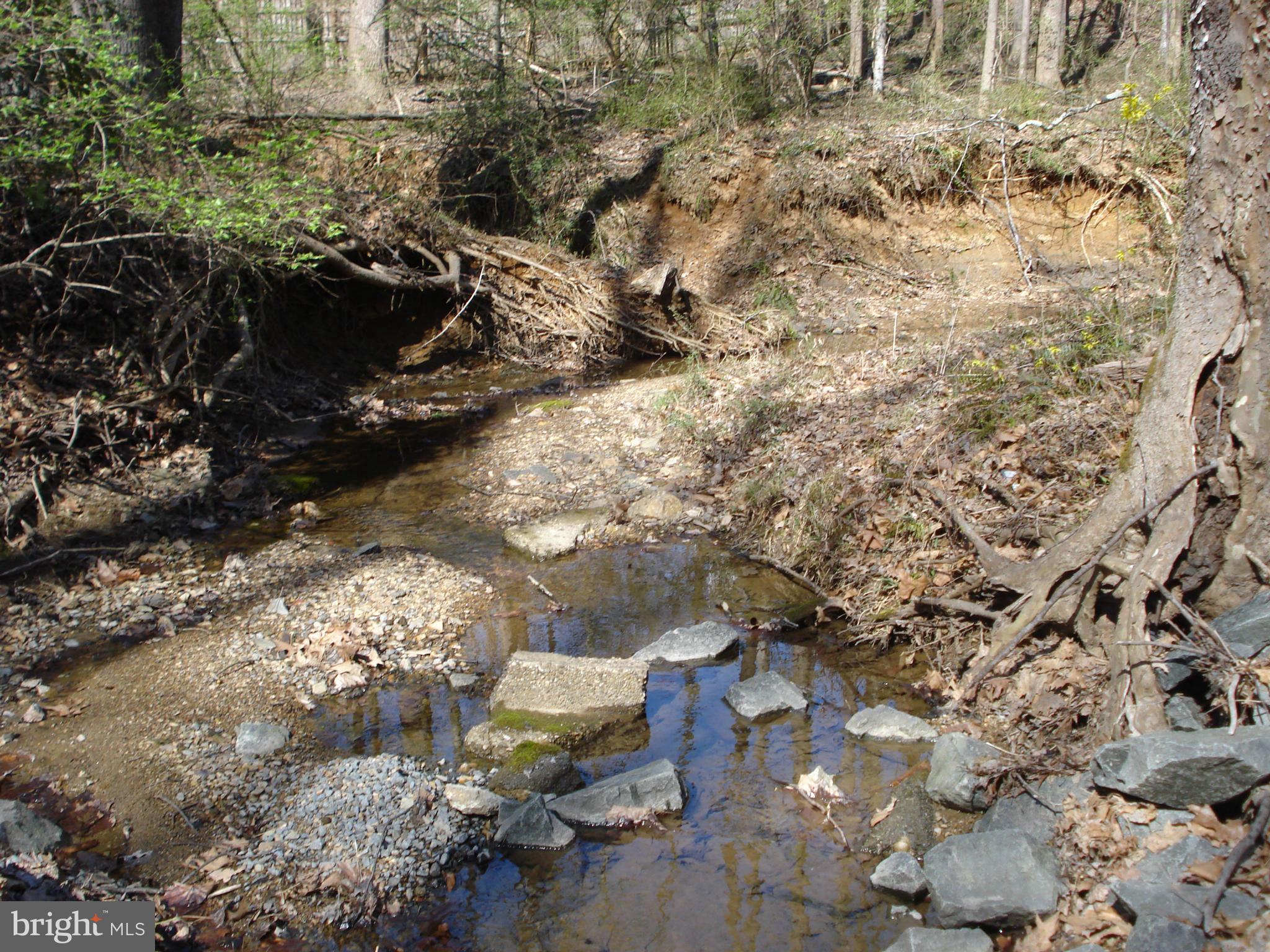 ANGELICA WOODS - Land