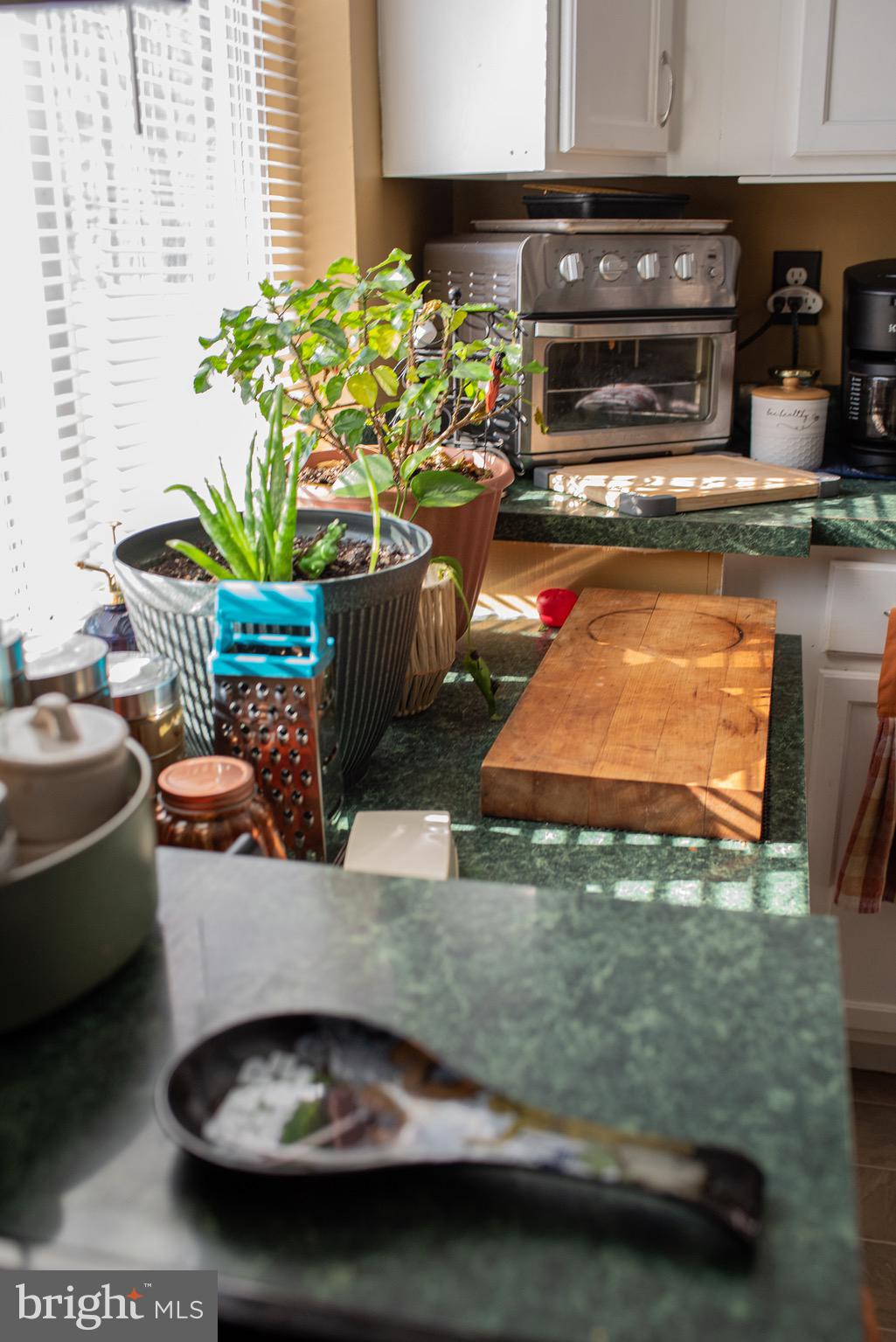 BLUE RIDGE SHORES - Residential