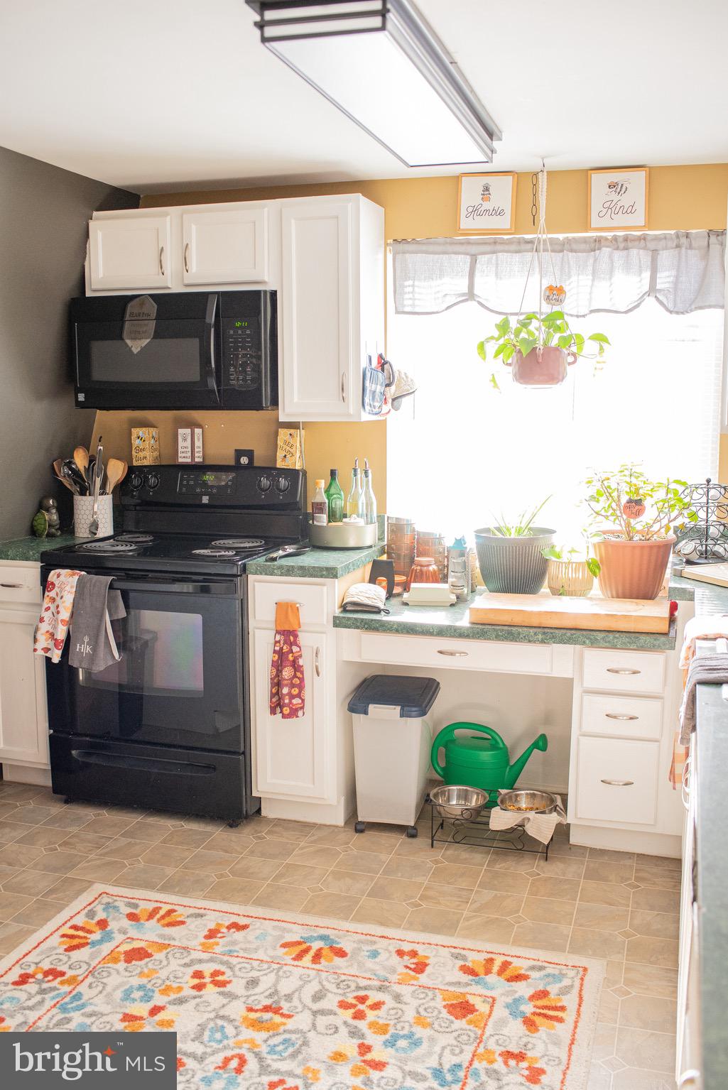 BLUE RIDGE SHORES - Residential