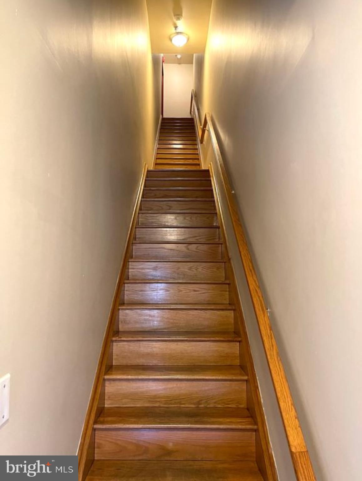 SPRING GARDEN - Residential Lease