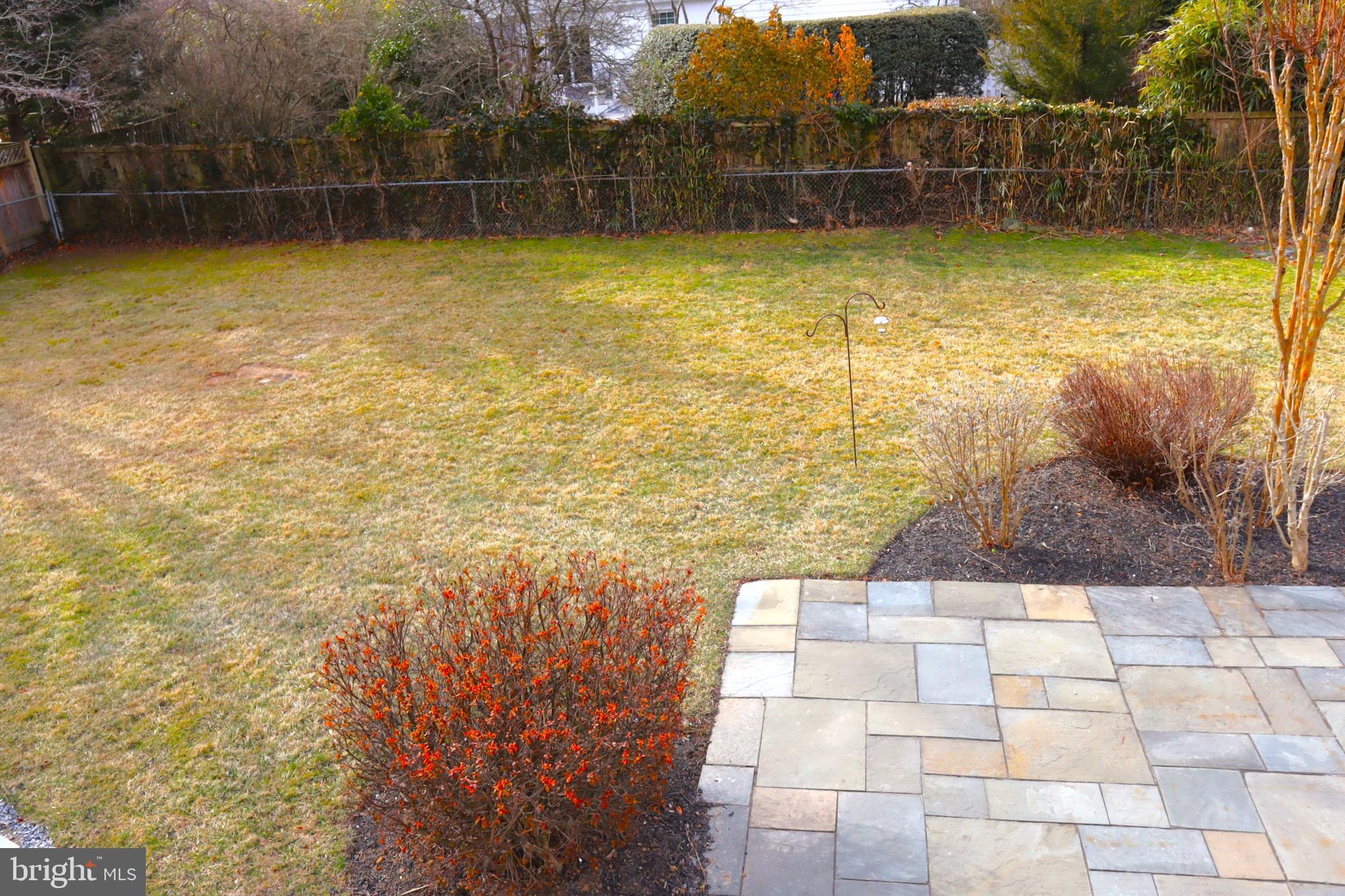 CHEVY CHASE VIEW - Residential