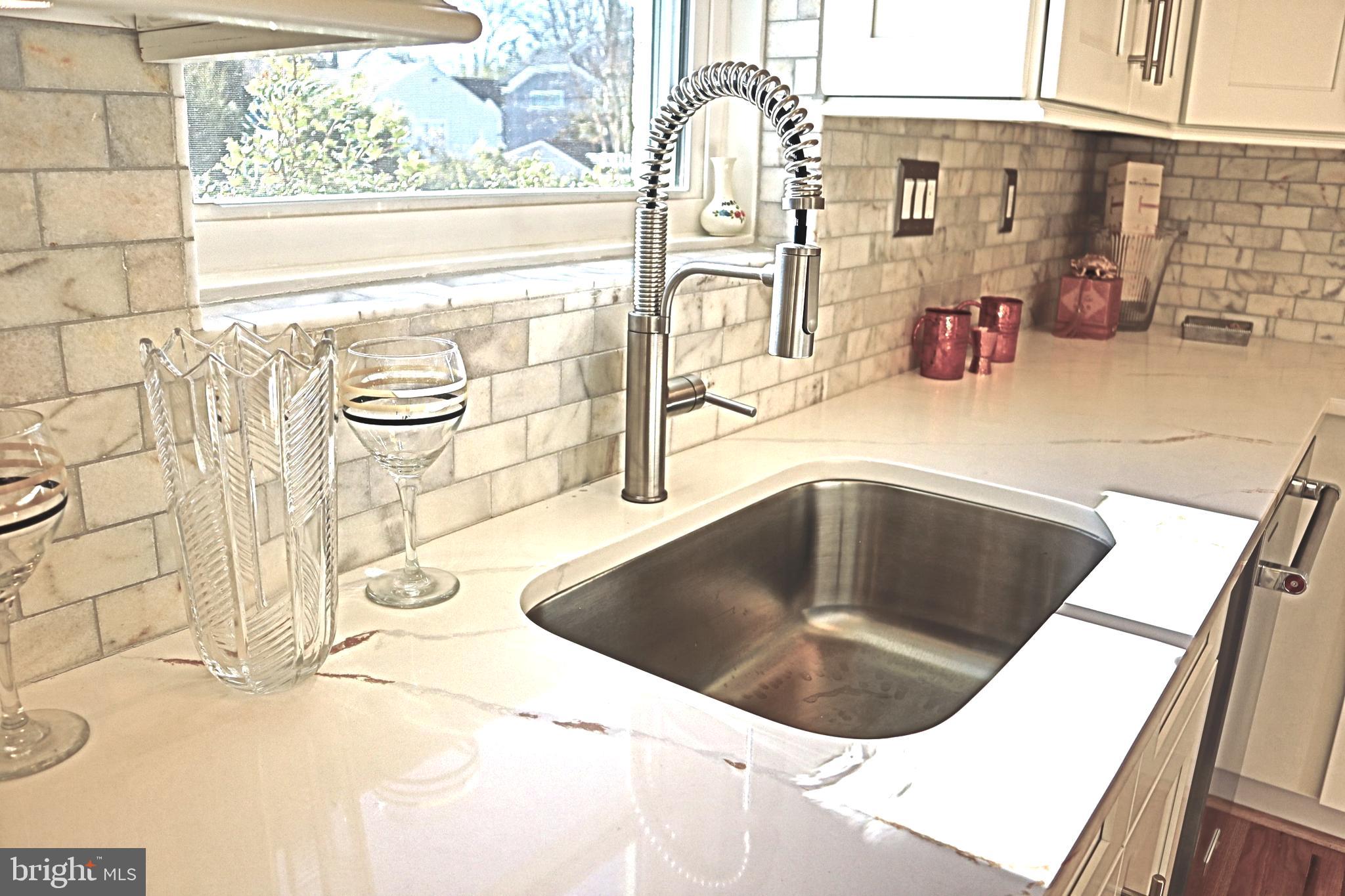 CHEVY CHASE VIEW - Residential